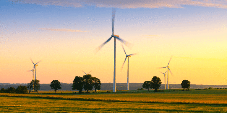 Sustainability Consulting
