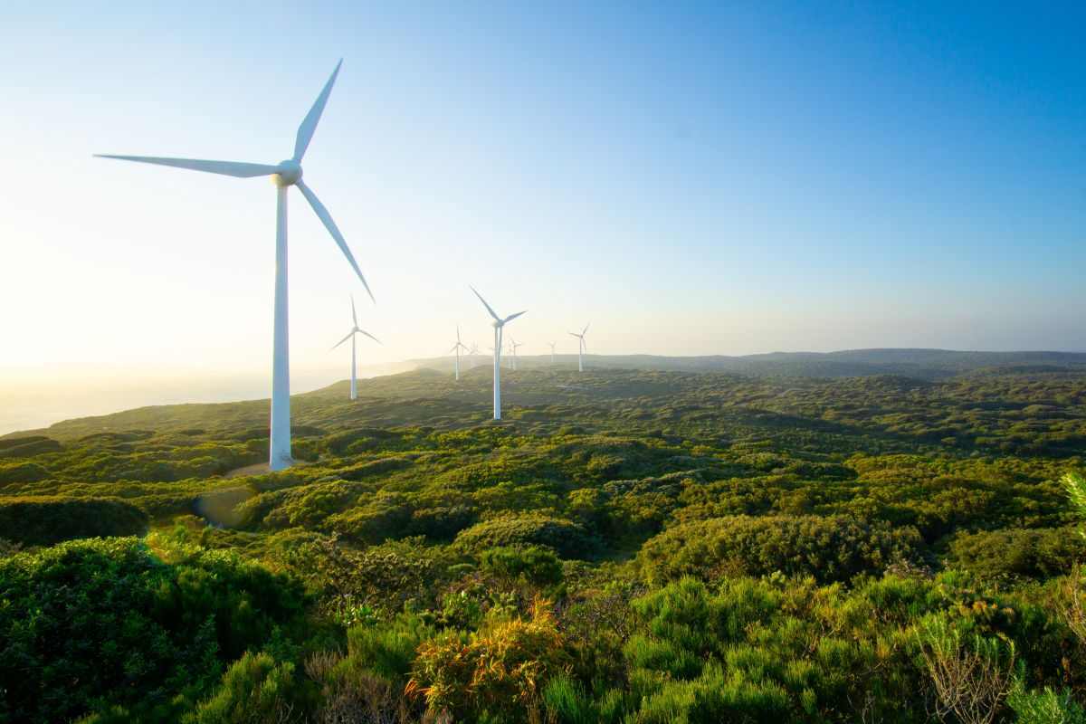 Wind Farm Acoustic Support