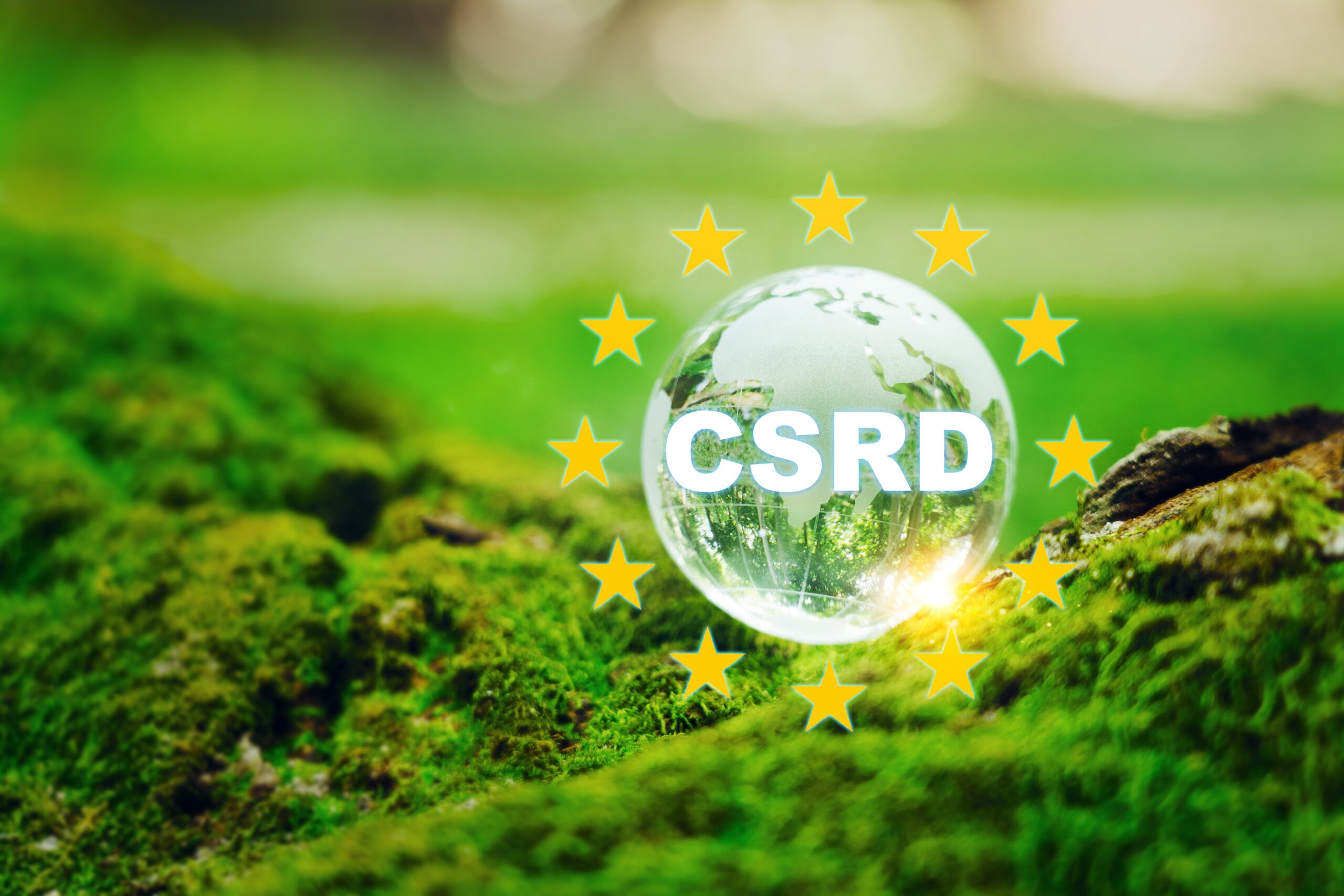 CSRD-scaled