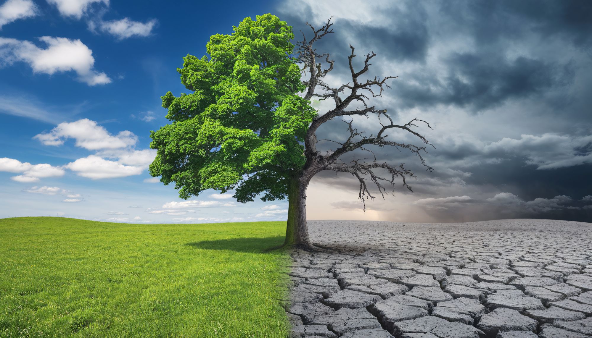 Climate Risks & Resilience