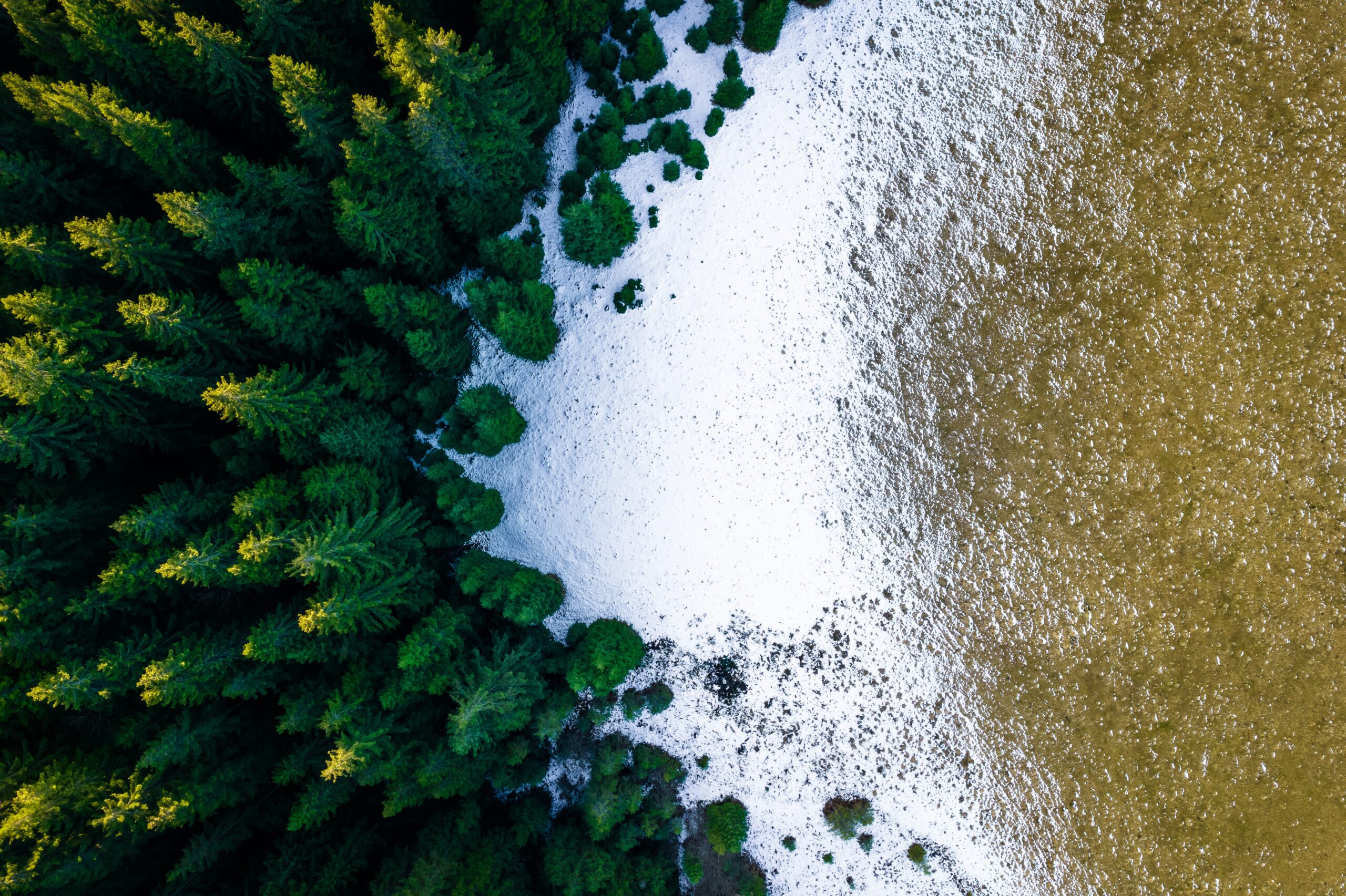 What Is a Climate Transition Plan?