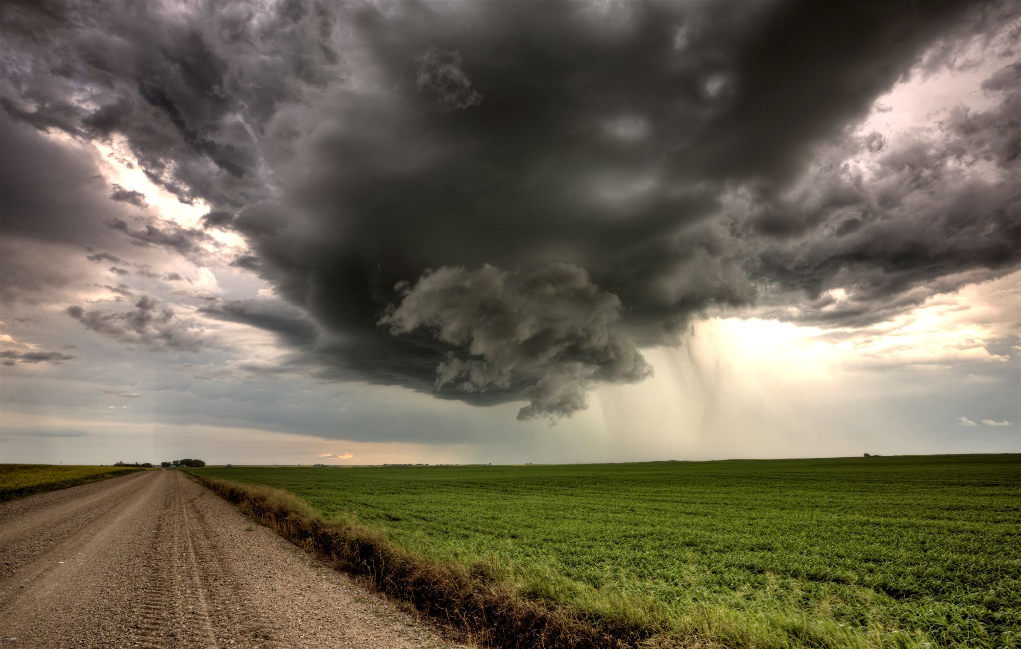 Climate Transition Plan