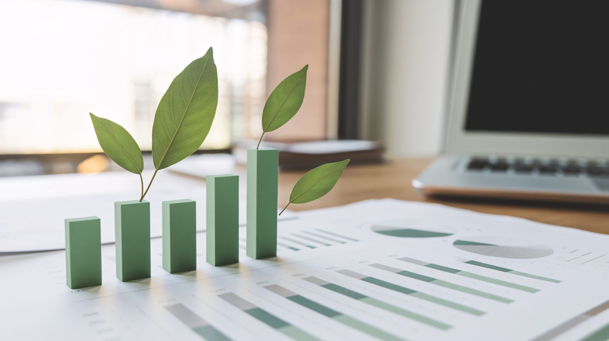 Environmental Product Declaration 1