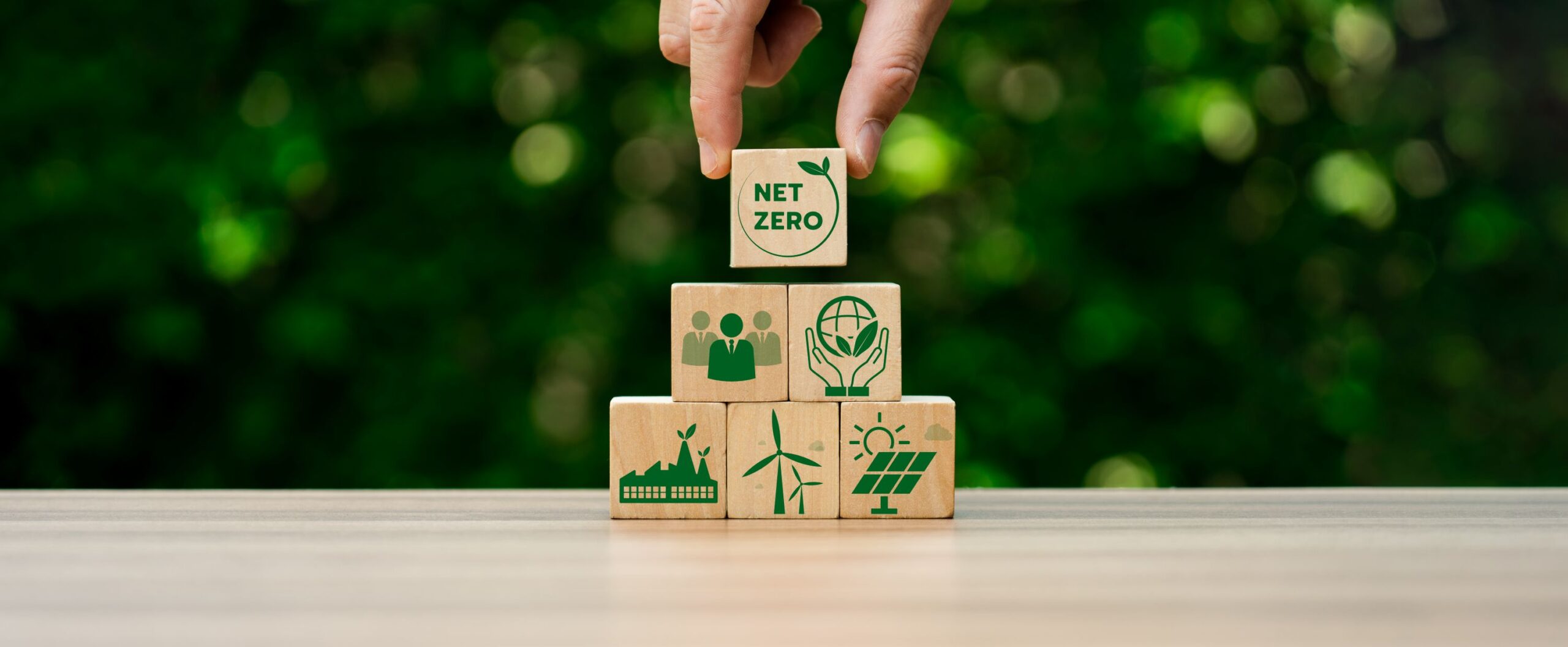 Net Zero Strategy