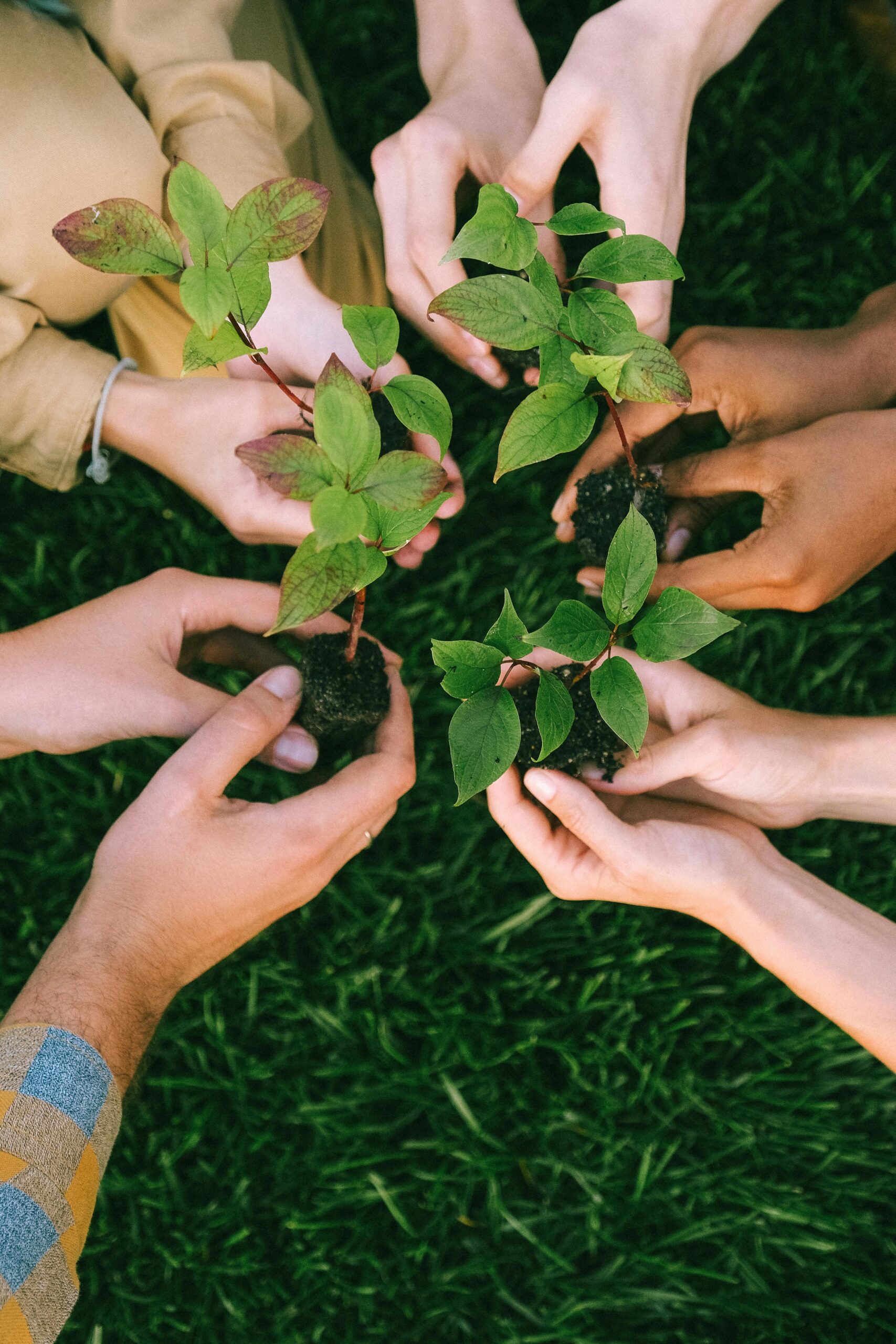 What Is a Net Zero Strategy?