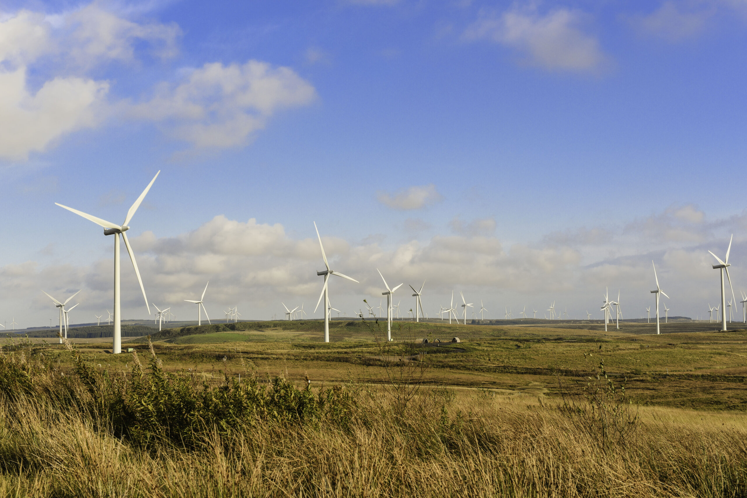 Environmental Impact Assessment (EIA) Consultants