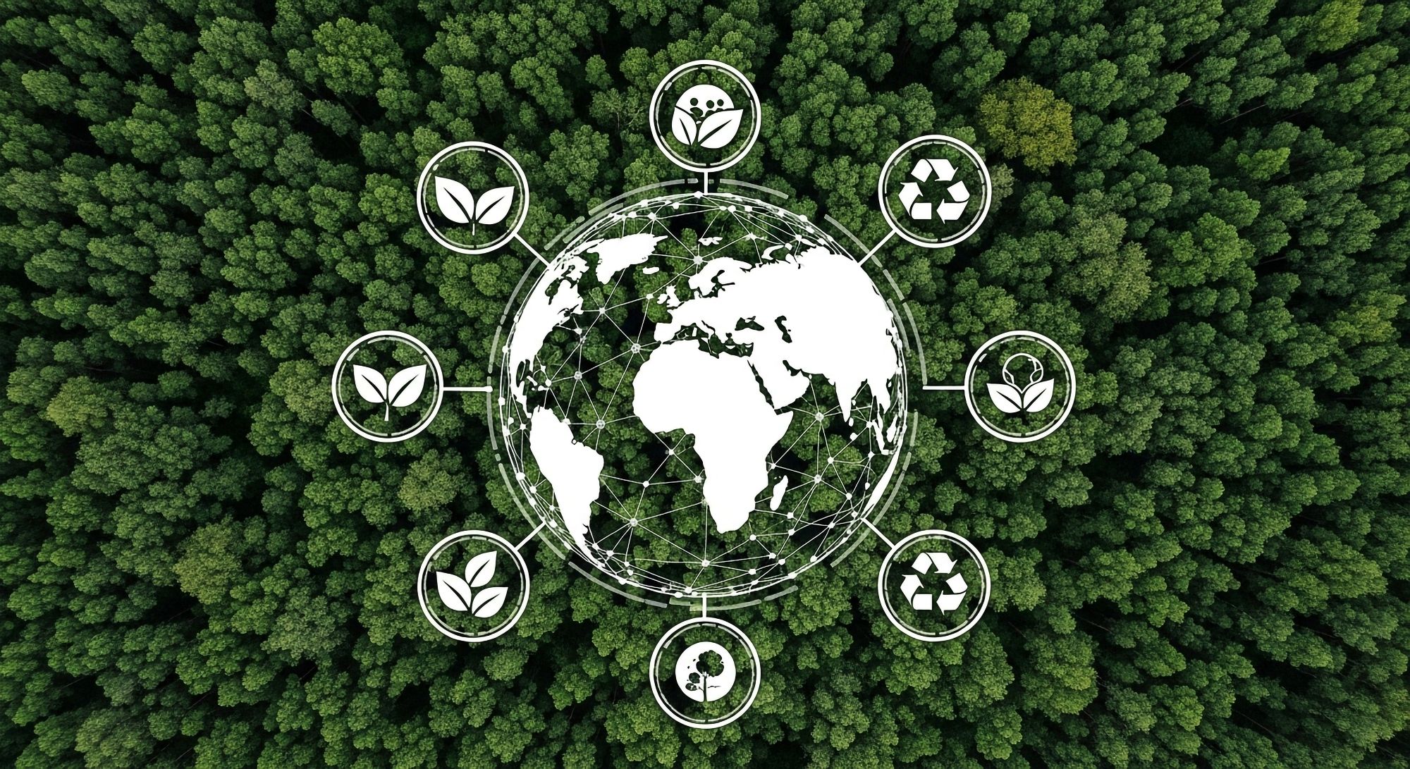 UN SDGs 2