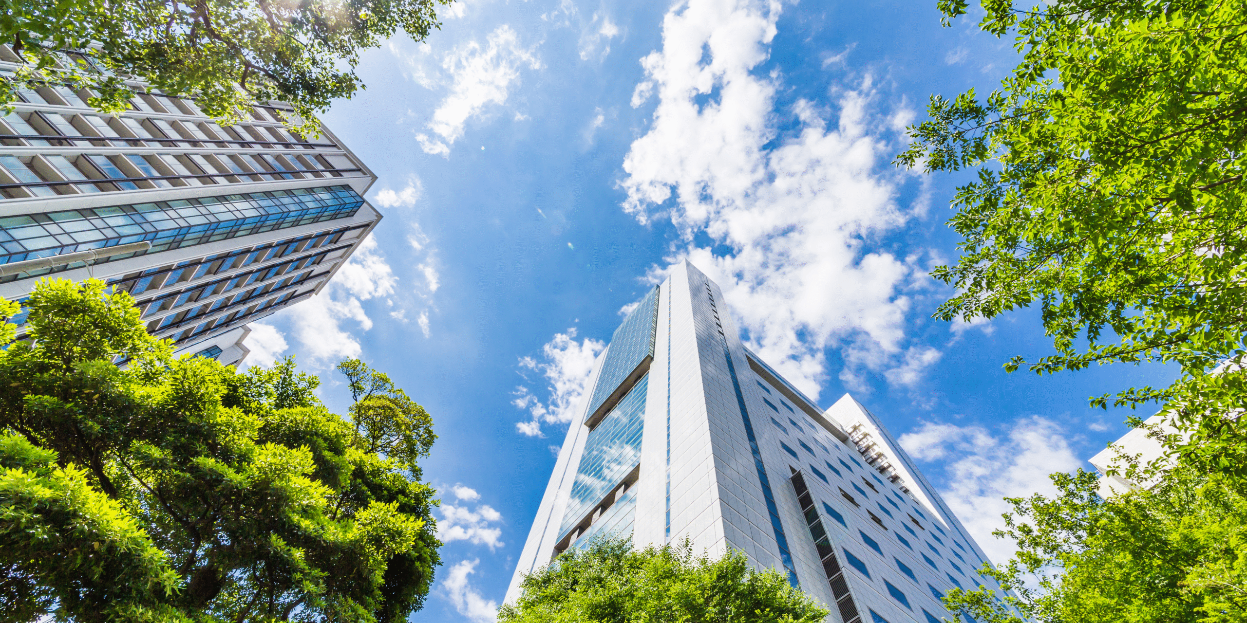 Why Choose Arthian's Energy team? 