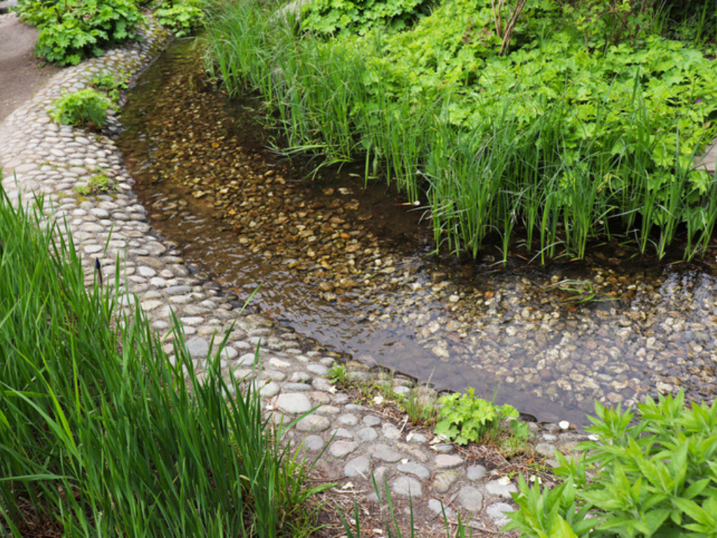 Drainage Design & SuDS