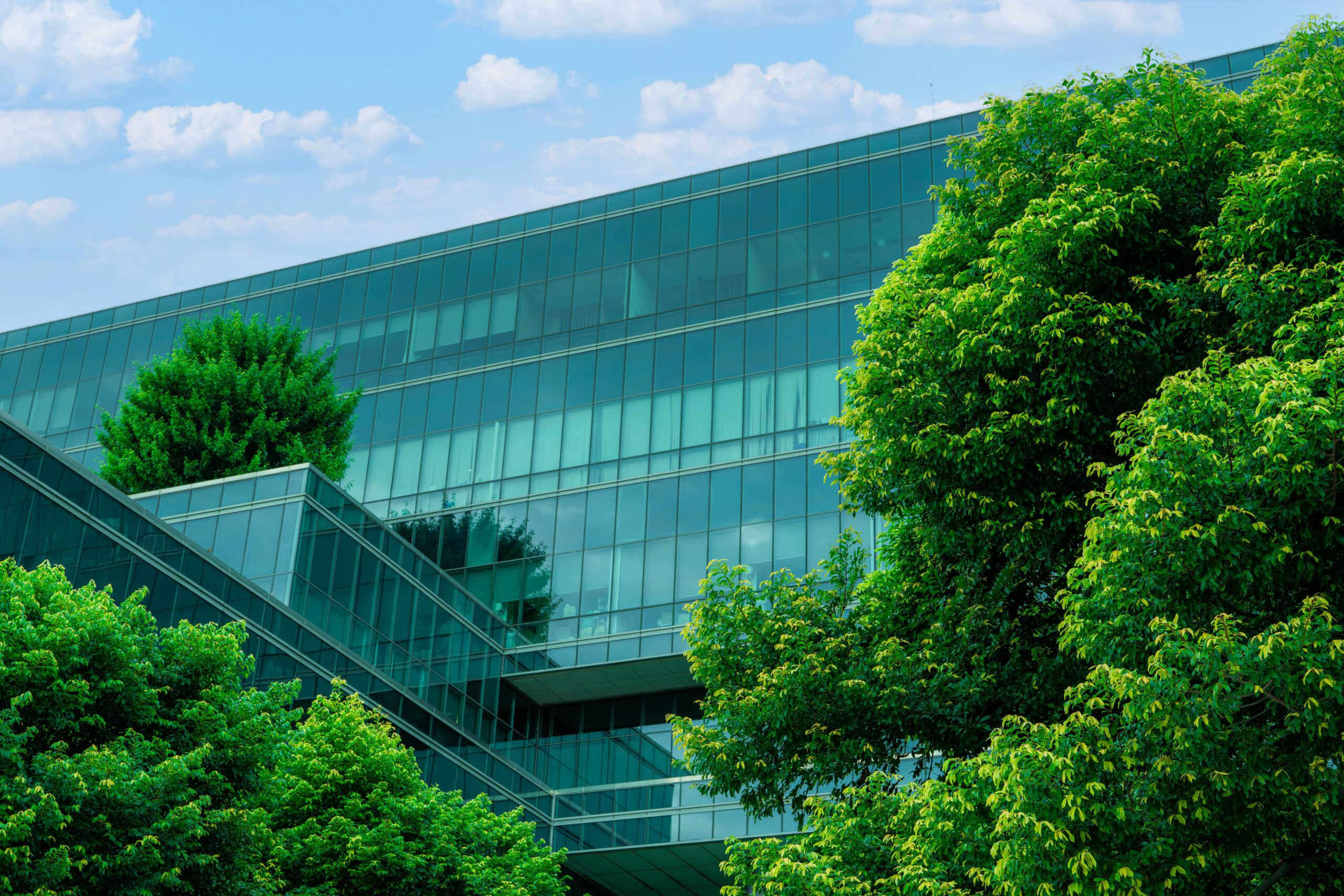Energy Compliance