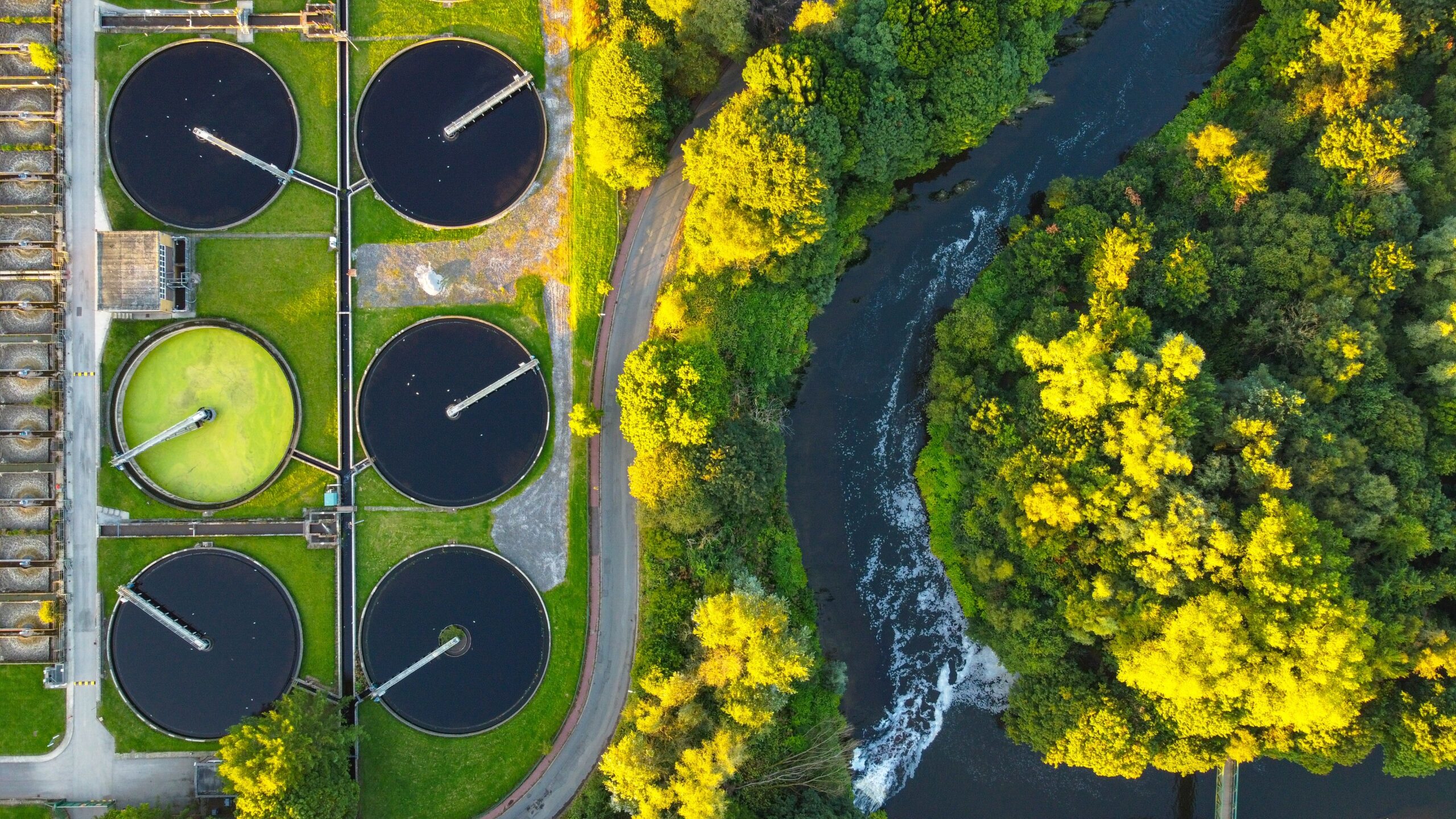 Why Choose Arthian for Sustainability Programme Delivery Support?