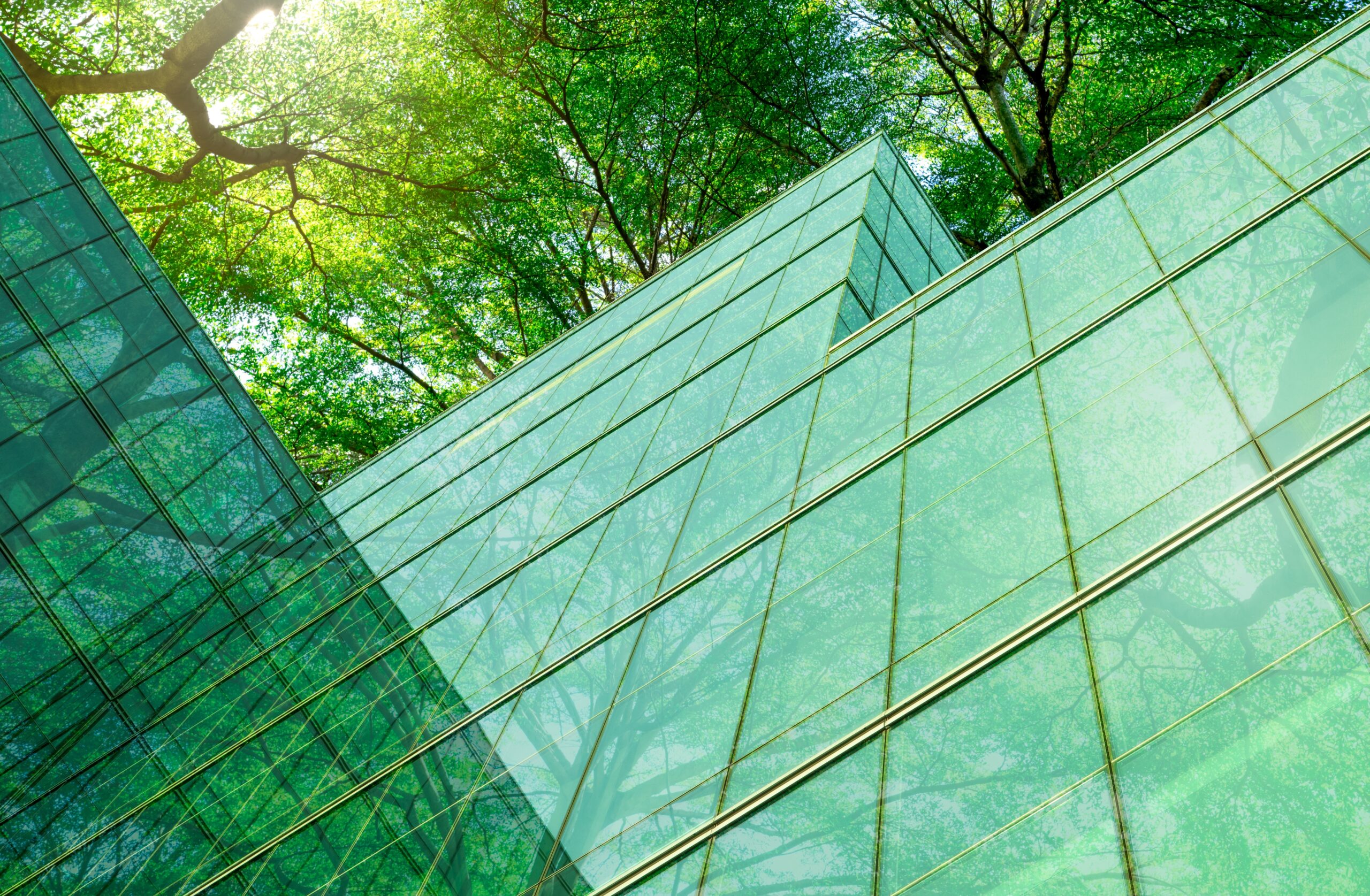 BREEAM-Infrastructure-Assessor-and-Consultancy