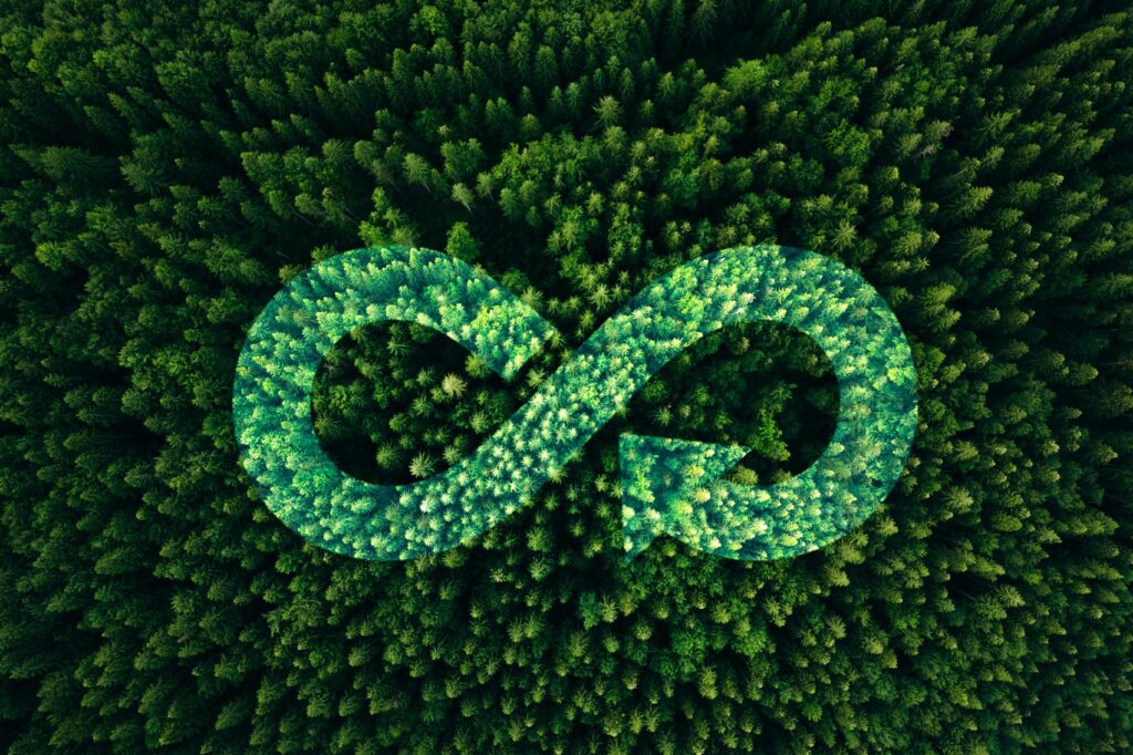 circular economy consultants