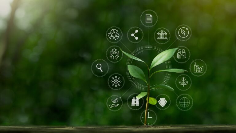 Net Zero Strategy & Climate Transition Plans