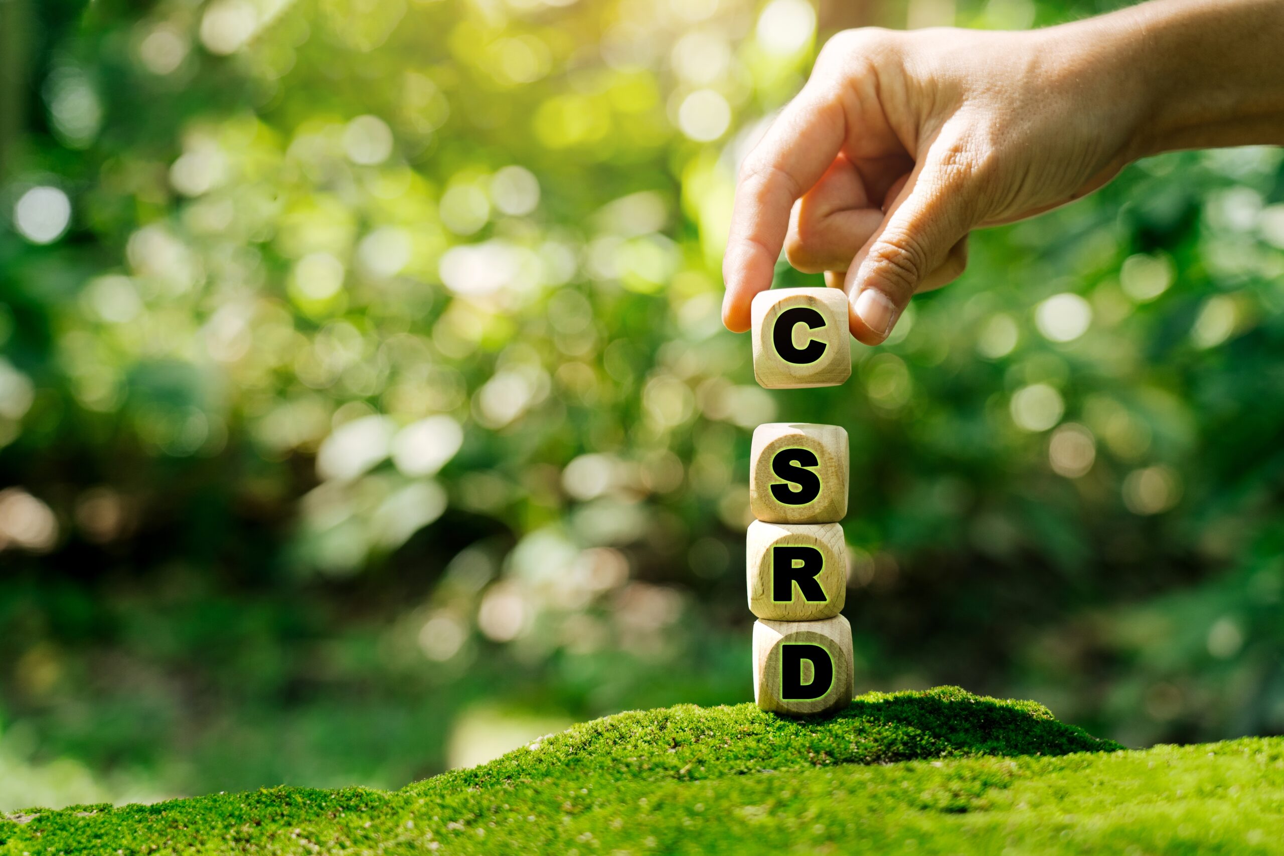 Why CSRD matters
