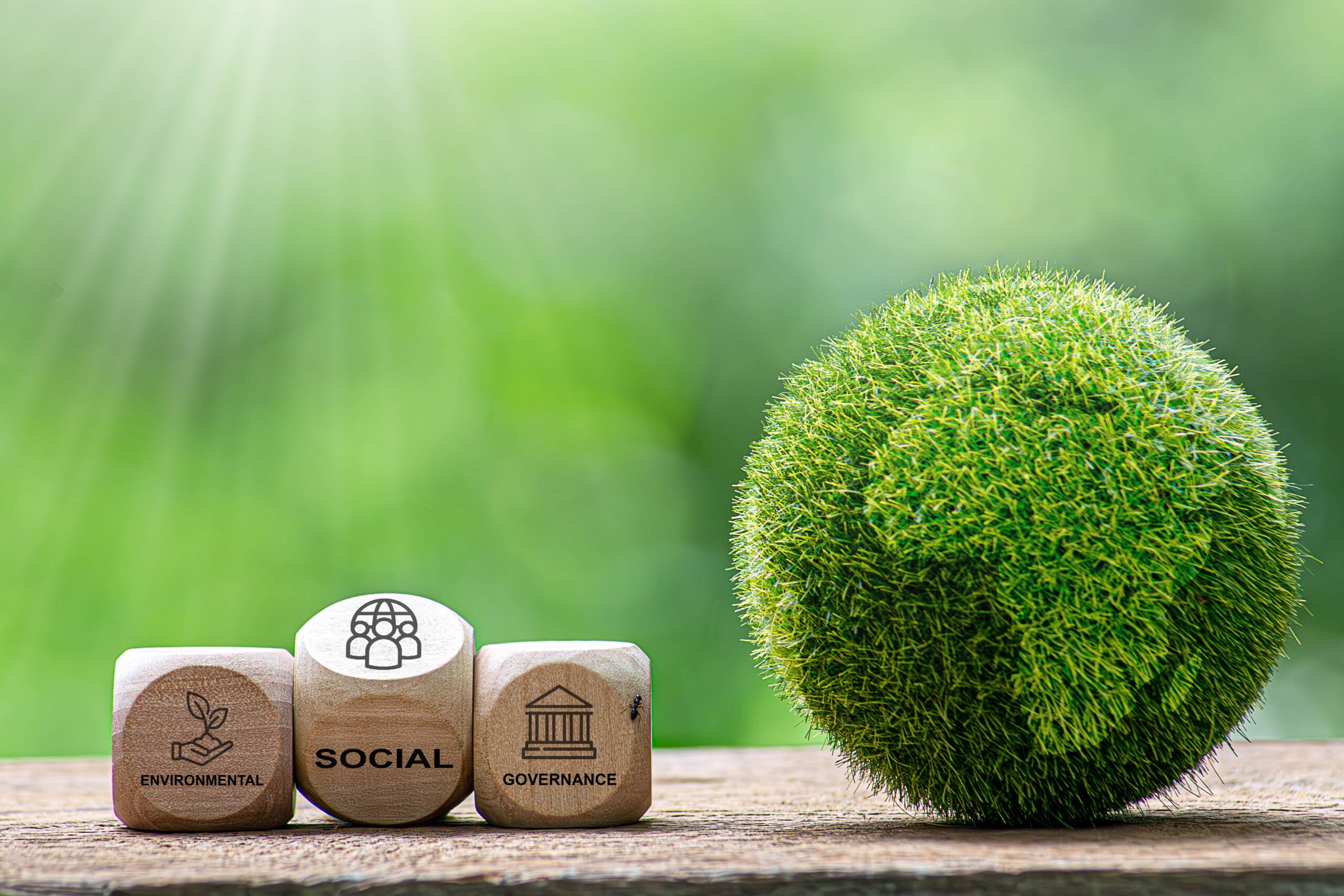 Why double materiality matters