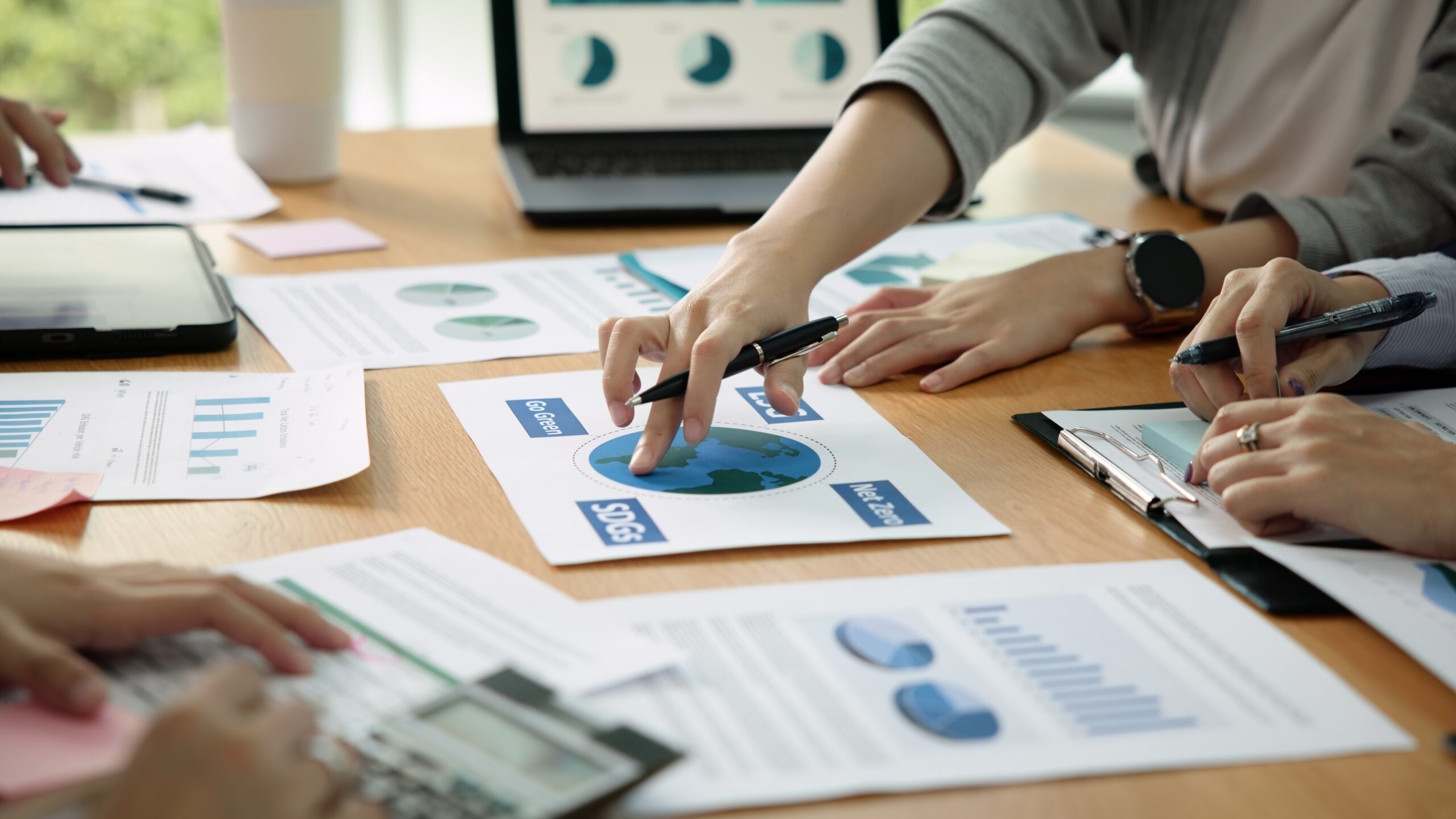 Sustainability Strategy Development