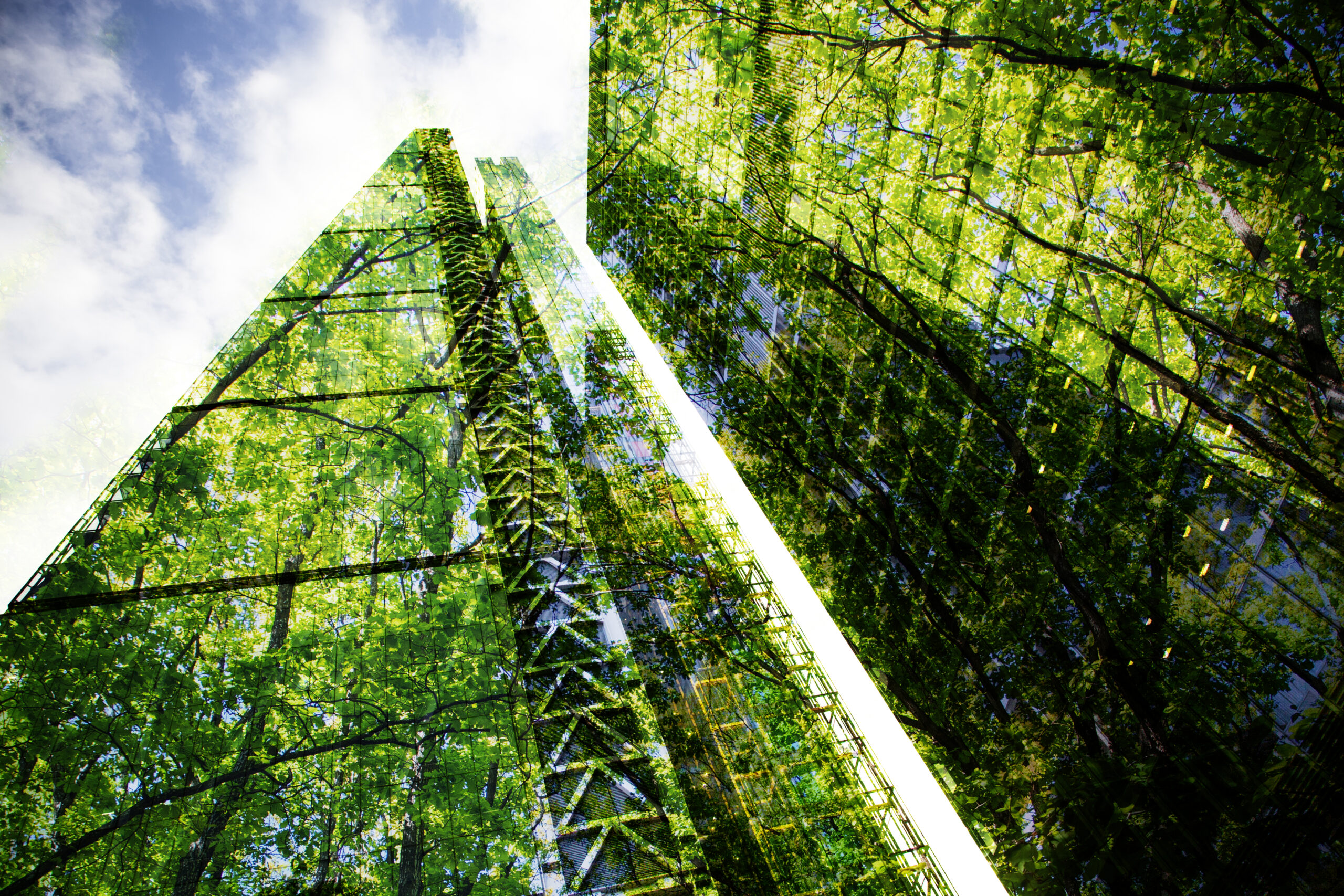 Whole Life Cycle Carbon Assessments (WLCA)