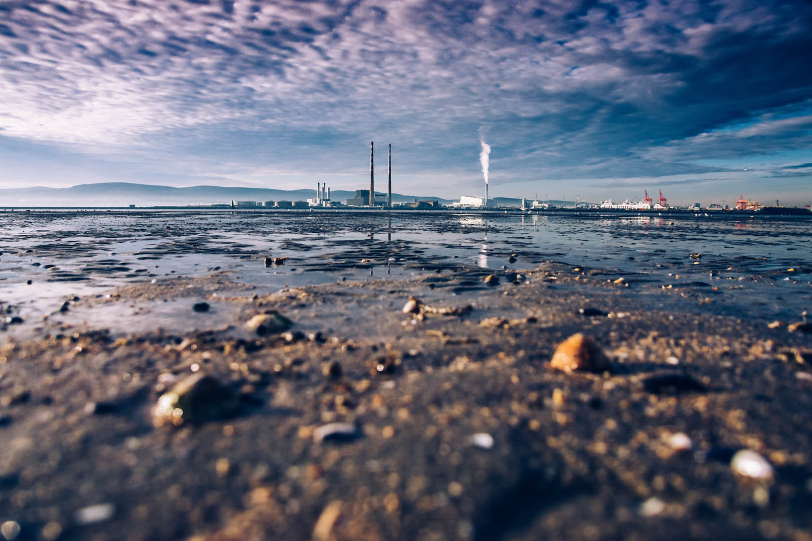 asset inspections and condition surveys
