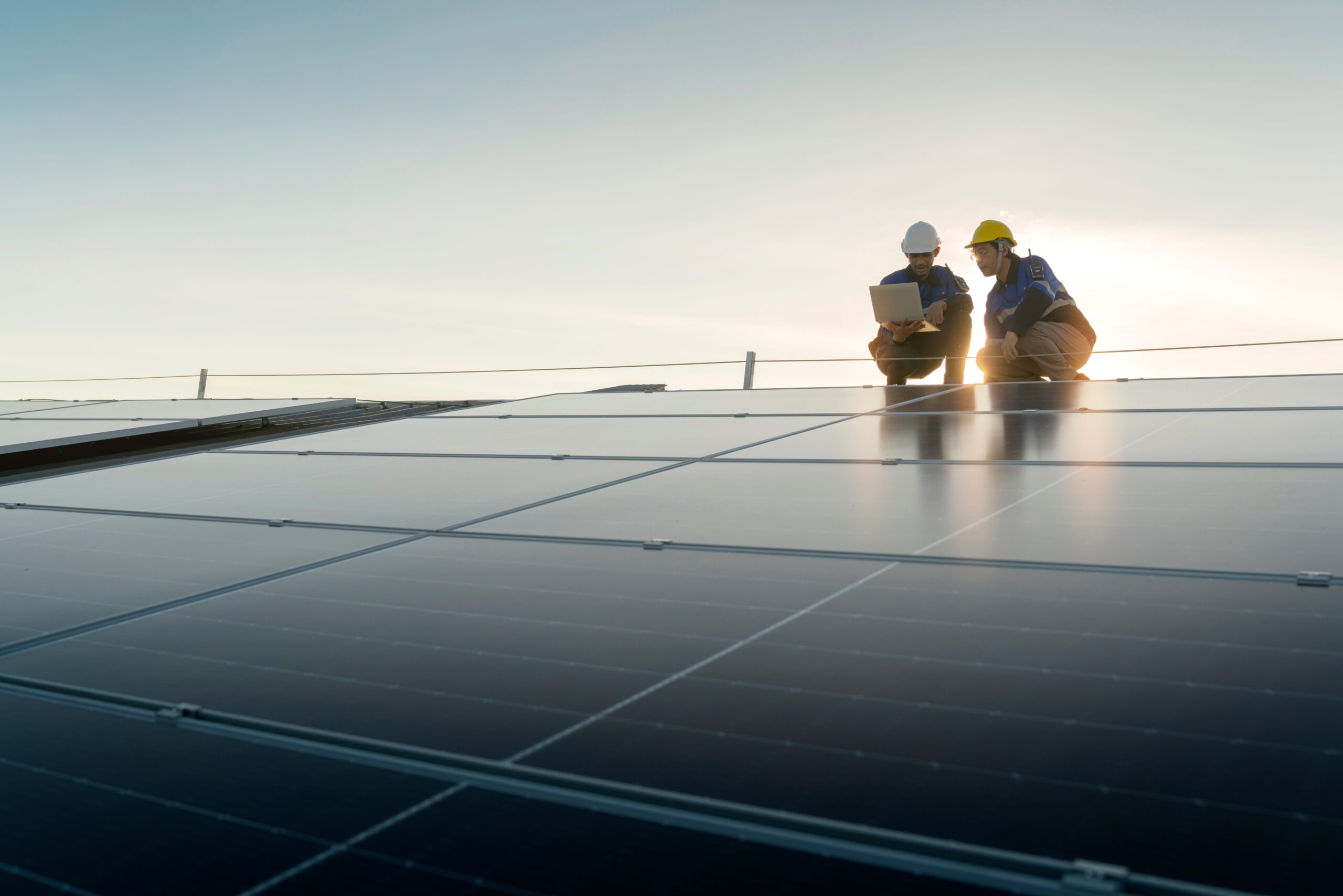 Energy Efficiency Surveys