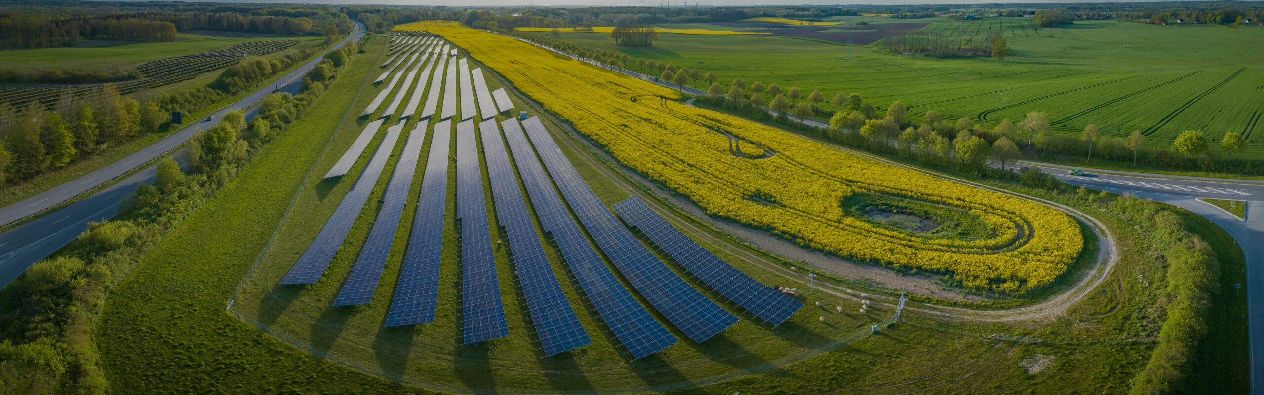 solar PV consultants BESS