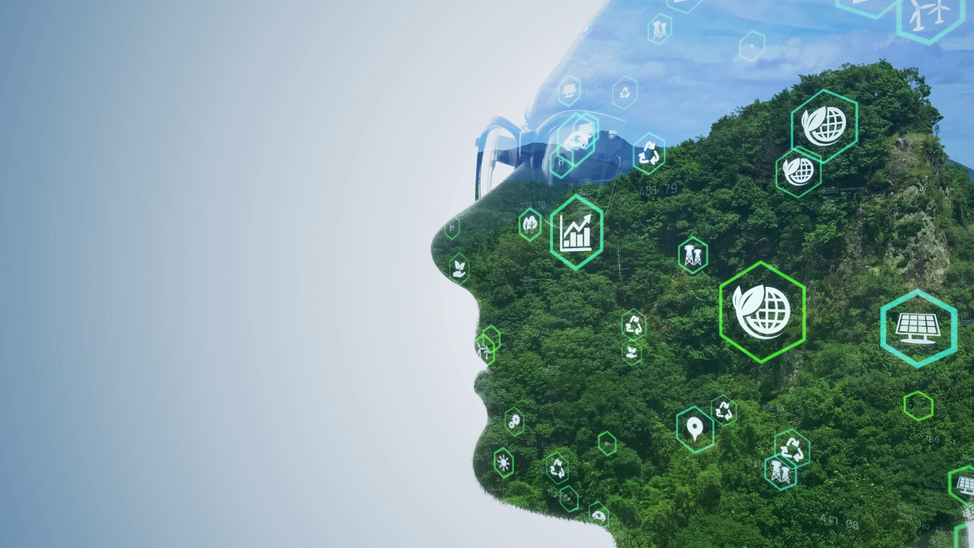 Sustainability Skills & Training