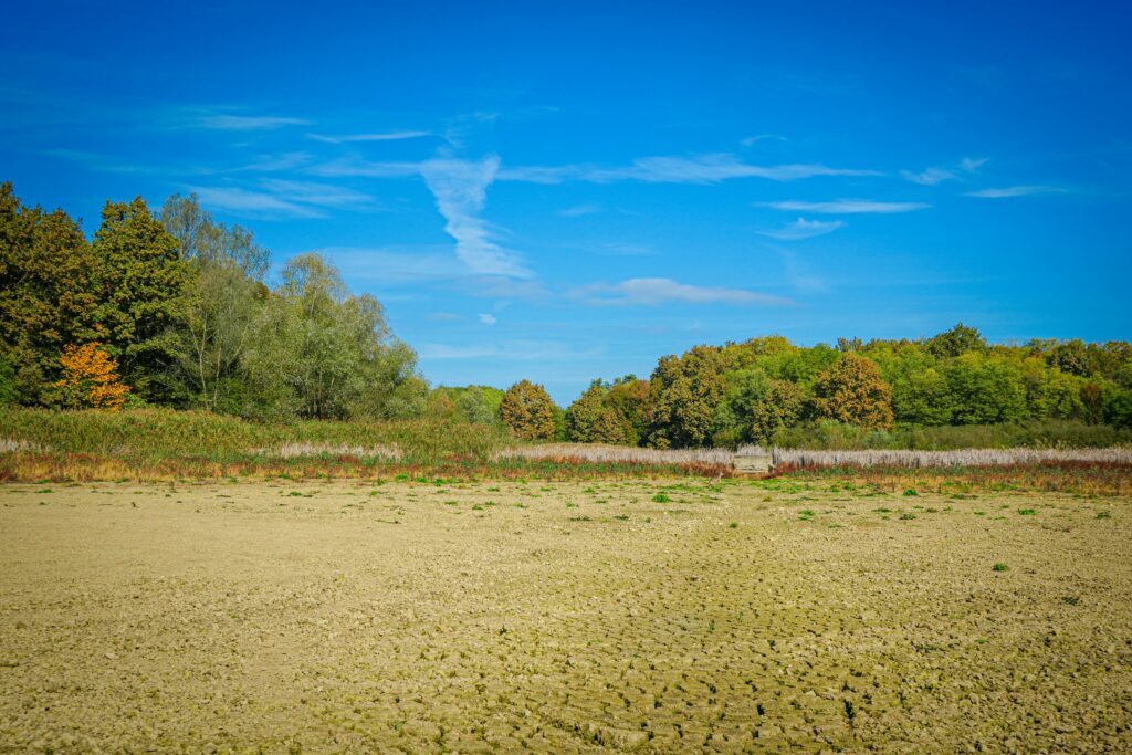 Contaminated Land Risk Assessment