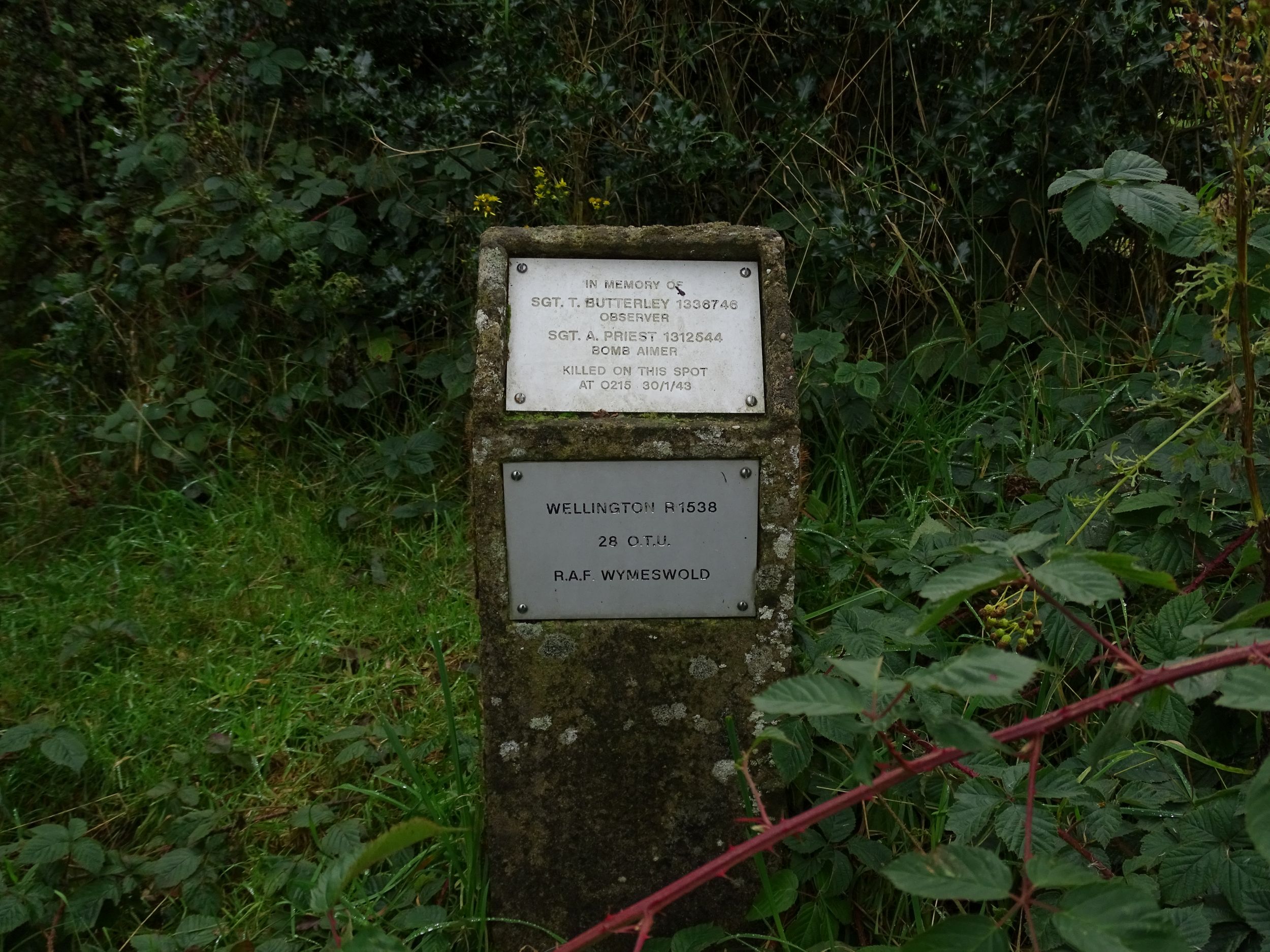 Captain's Farm 3
