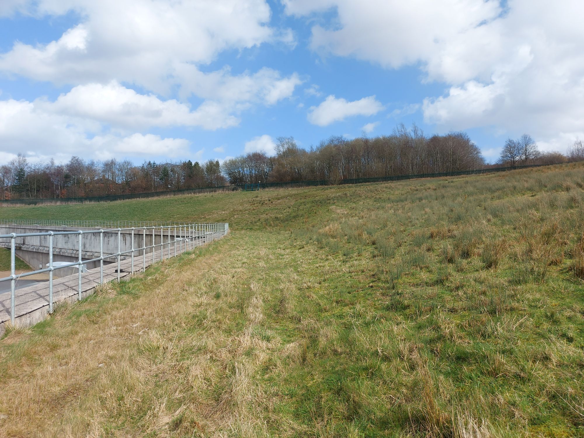 Carpenter's Solar Farm 5
