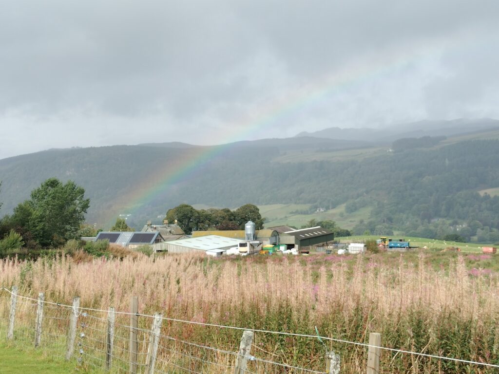 The Lost Stones Community Excavation