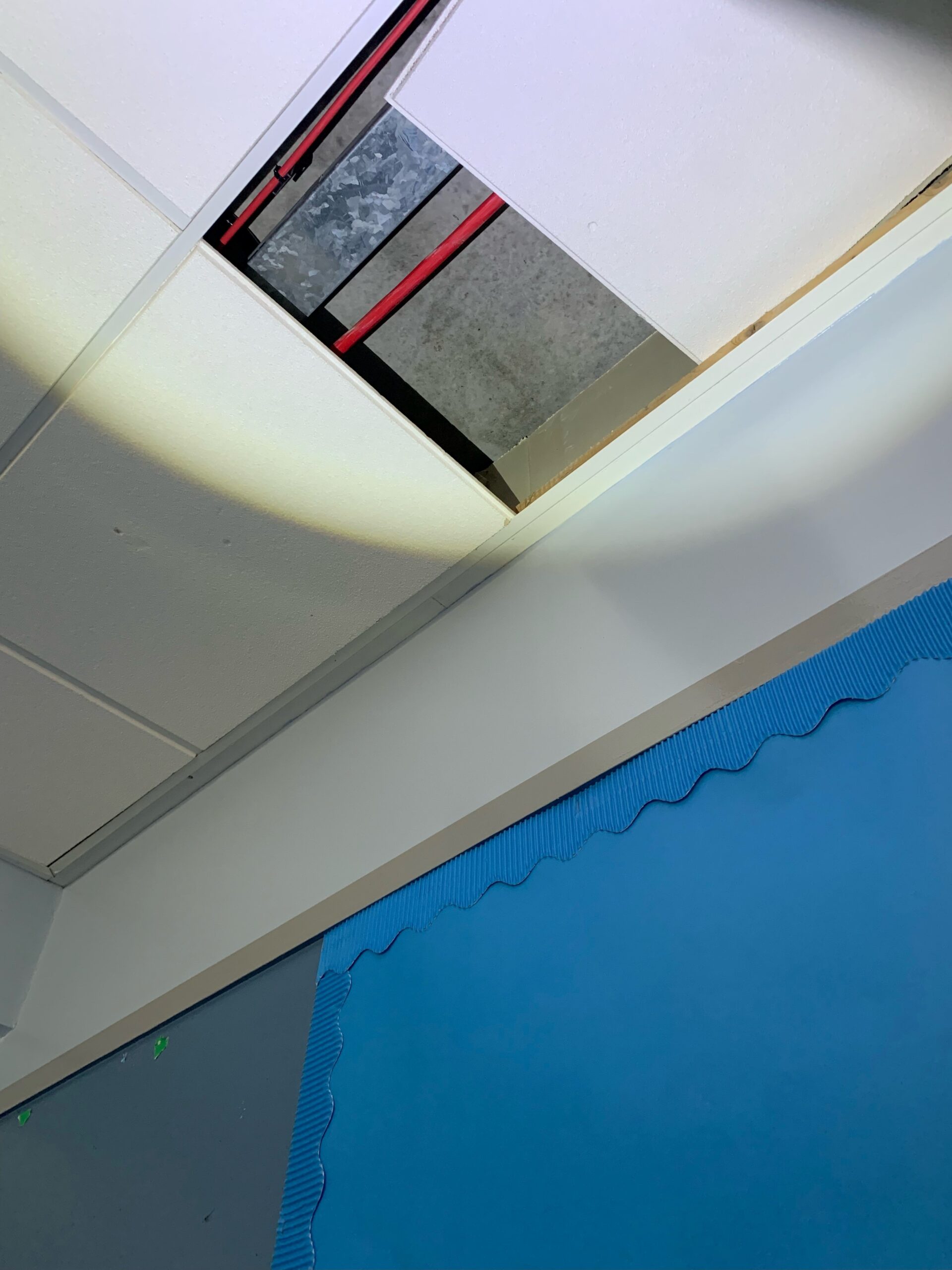 RAAC inspections