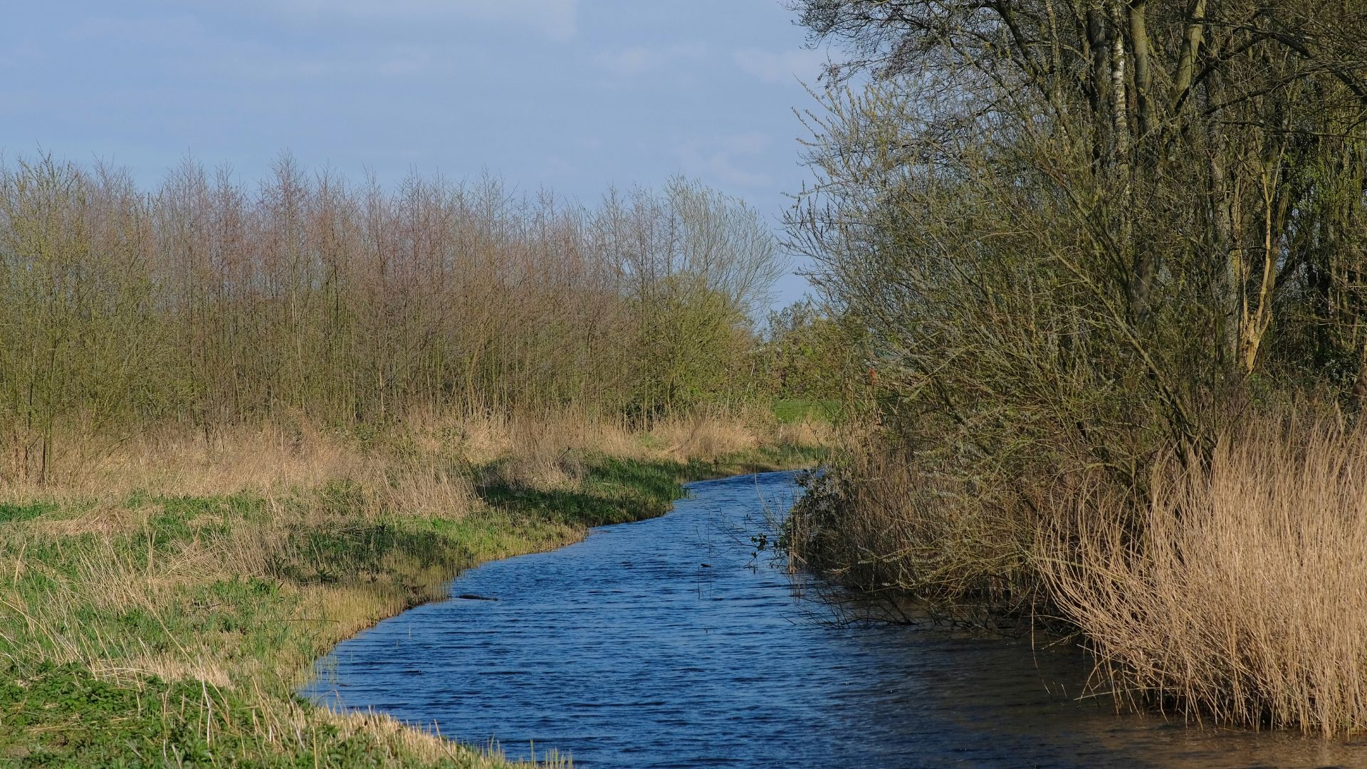 Environmental Oversight for Pylon Relocation Works