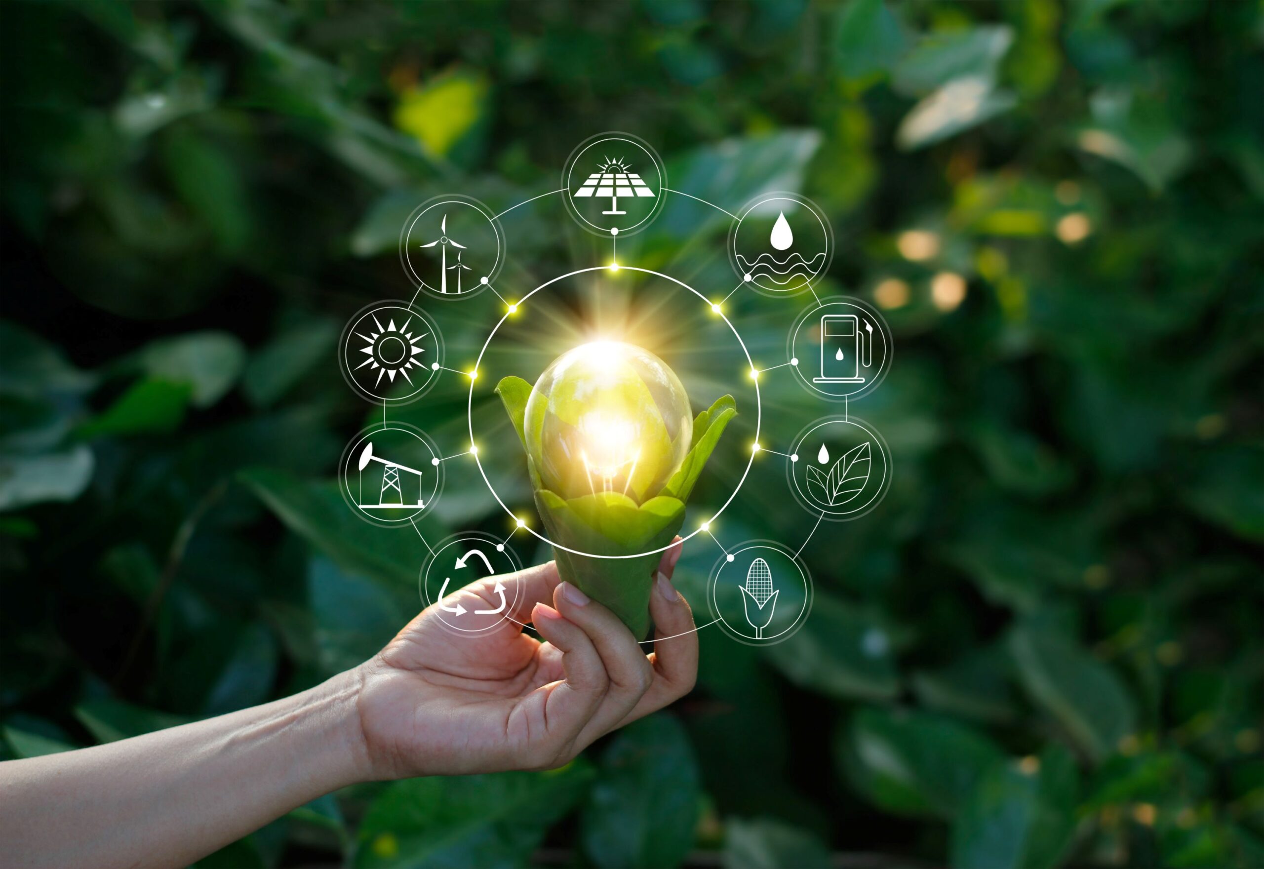 Carbon and Decarbonisation 2