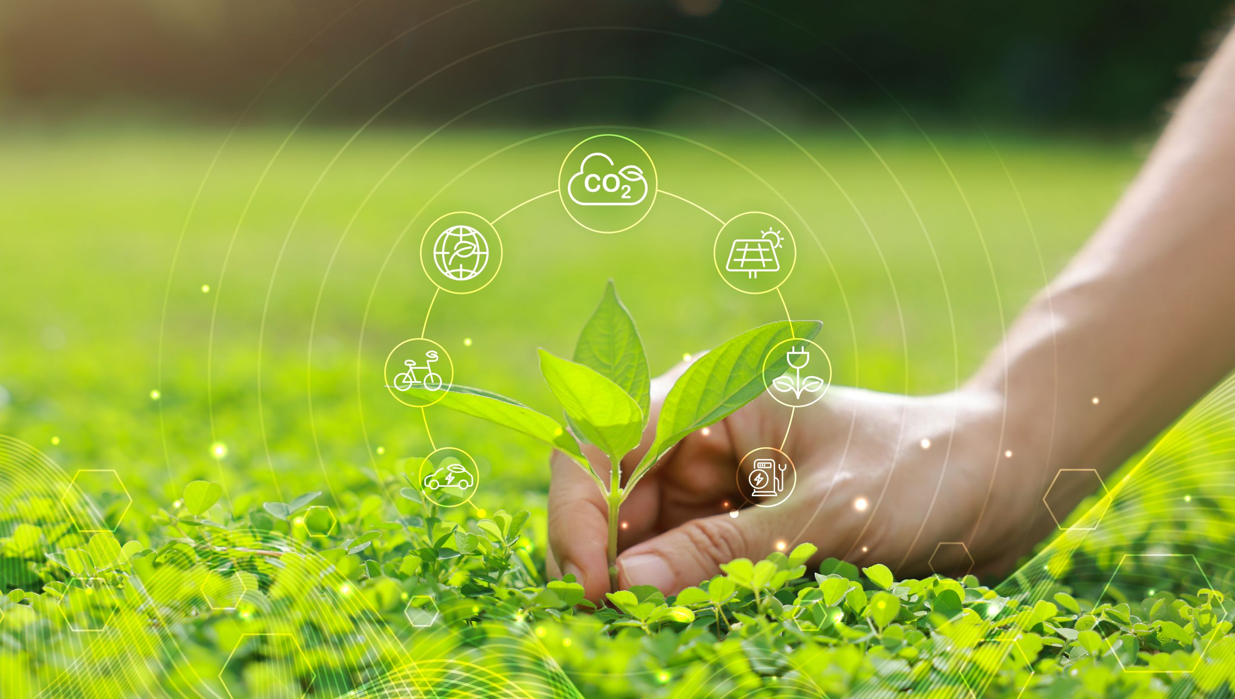 Carbon and Decarbonisation 6