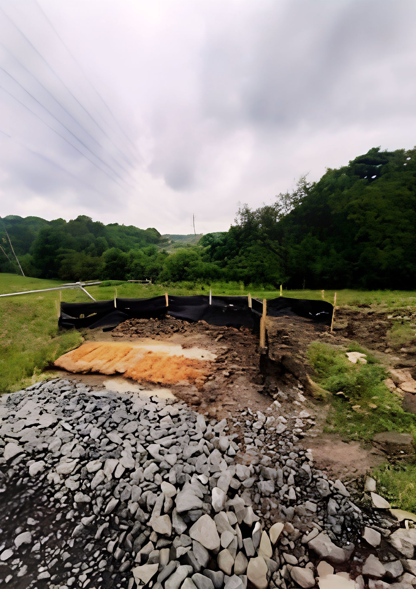 Environmental Oversight for Pylon Relocation Works