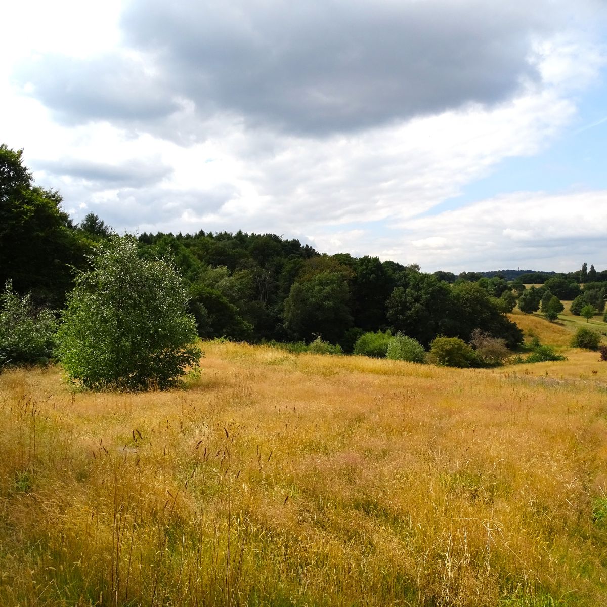 Hawkesyard BESS Earthworks Strategy