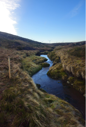 Aberarder 4