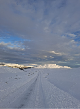 Aberarder 5