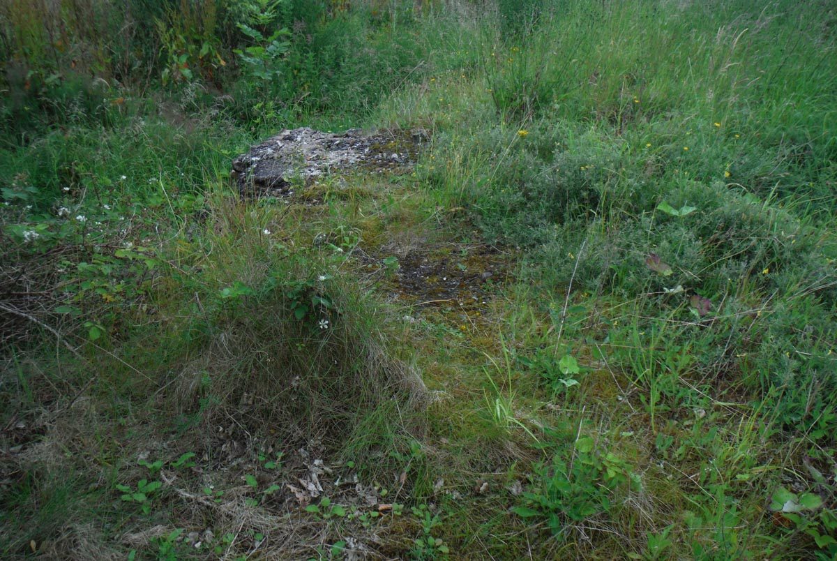 land contamination preliminary risk assessment LCRA