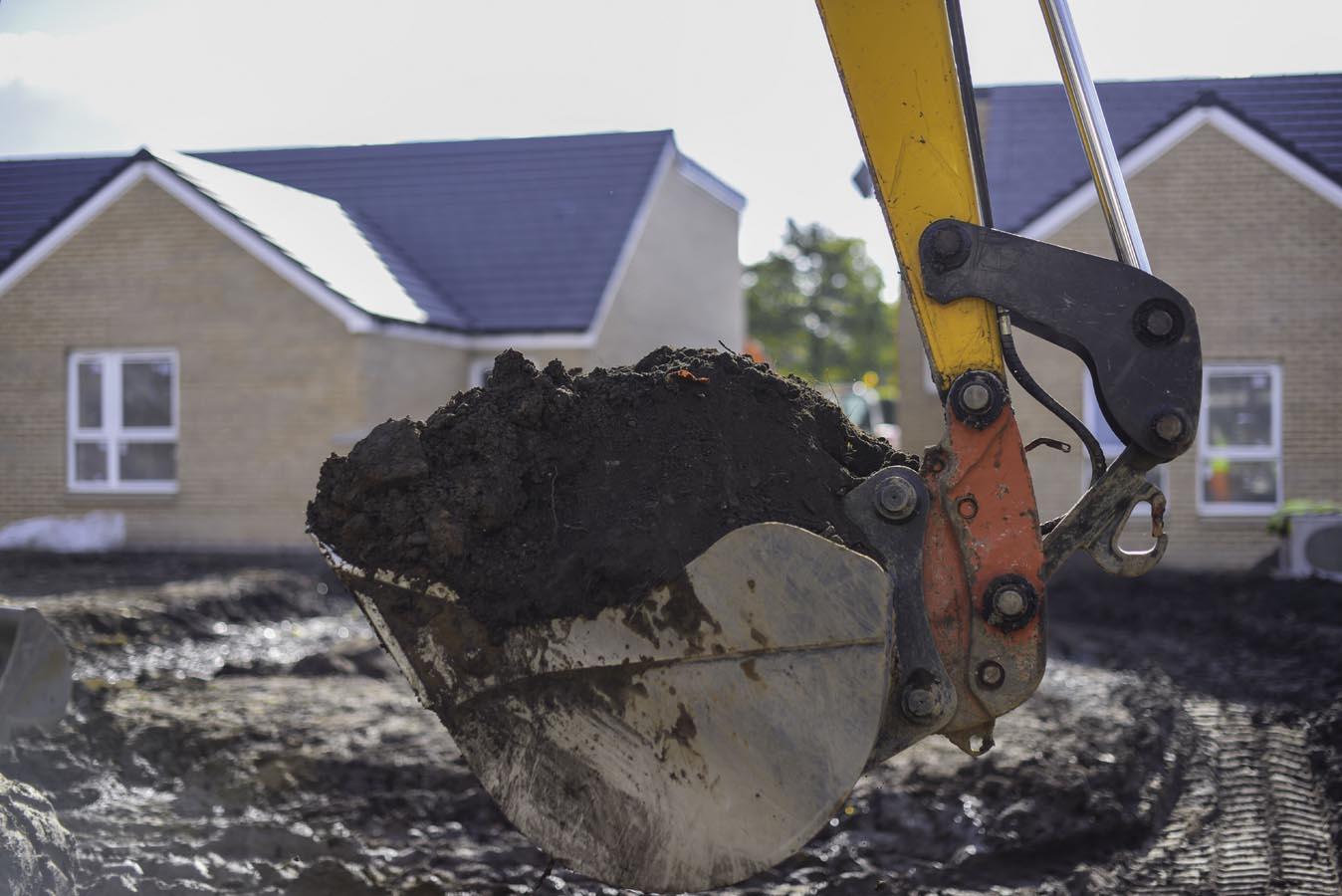 remediation & Options appraisal