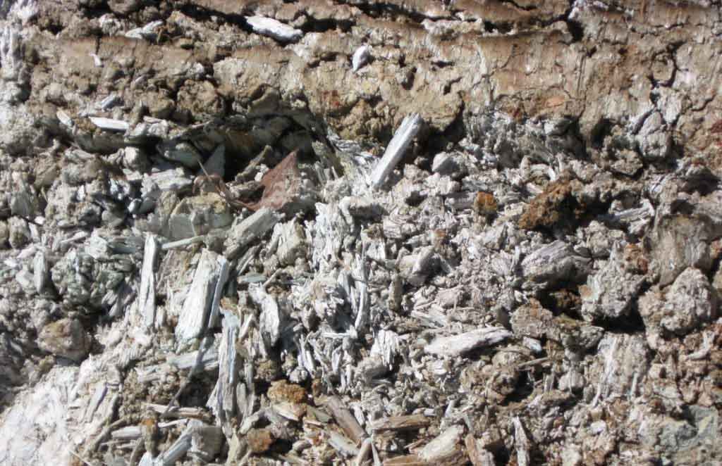 asbestos in soil