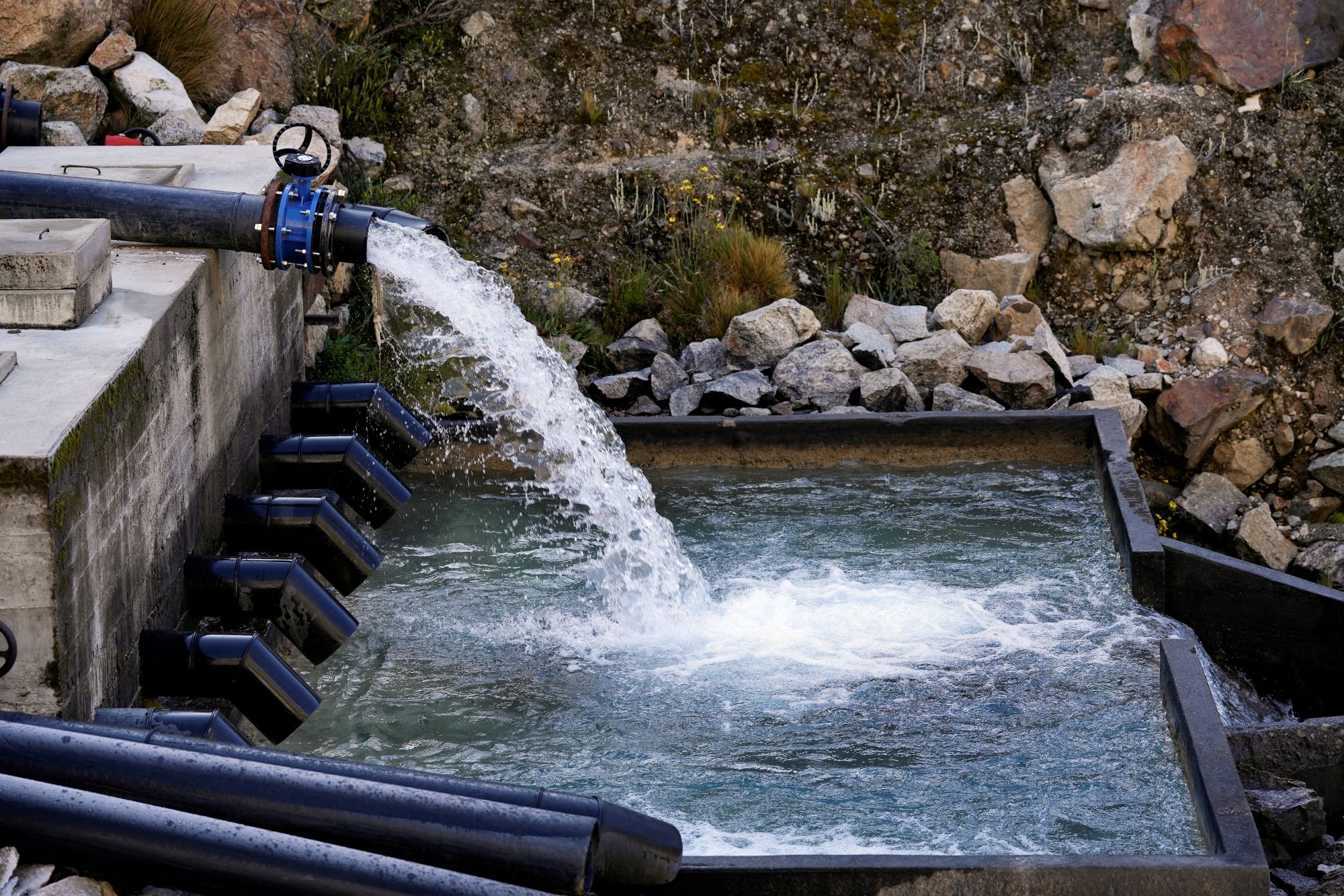 Water Efficiency Studies for Anglian Water Customers