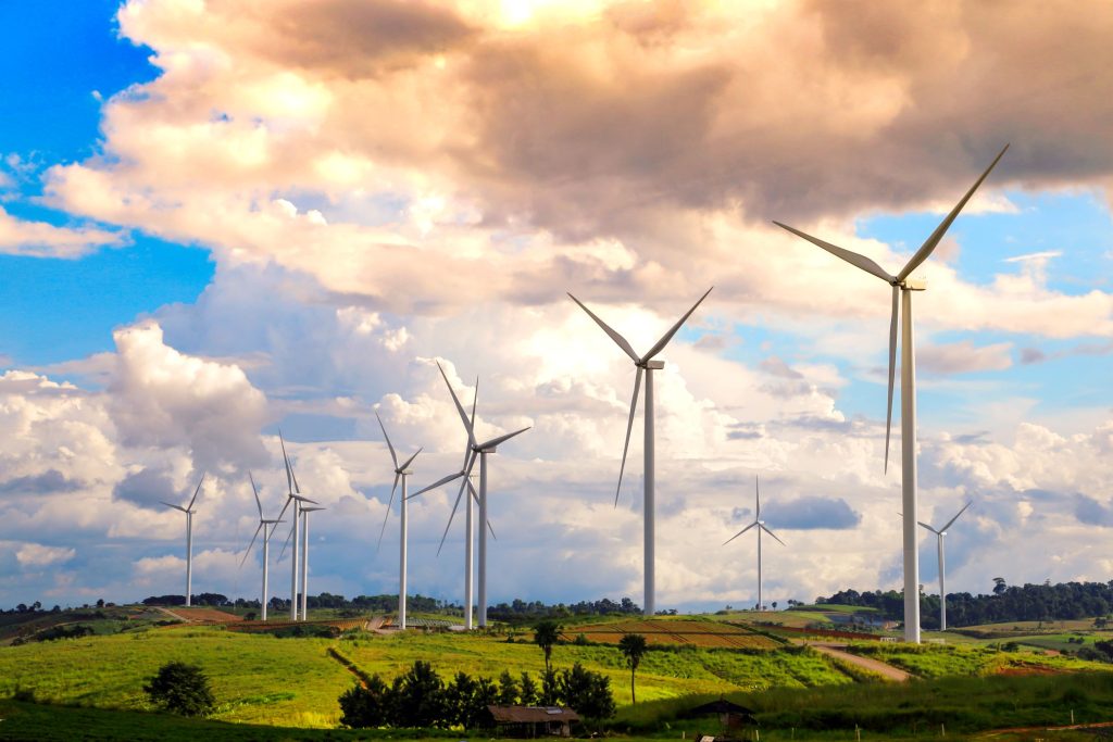 Wind Farm Habitat Management & Ecological Monitoring