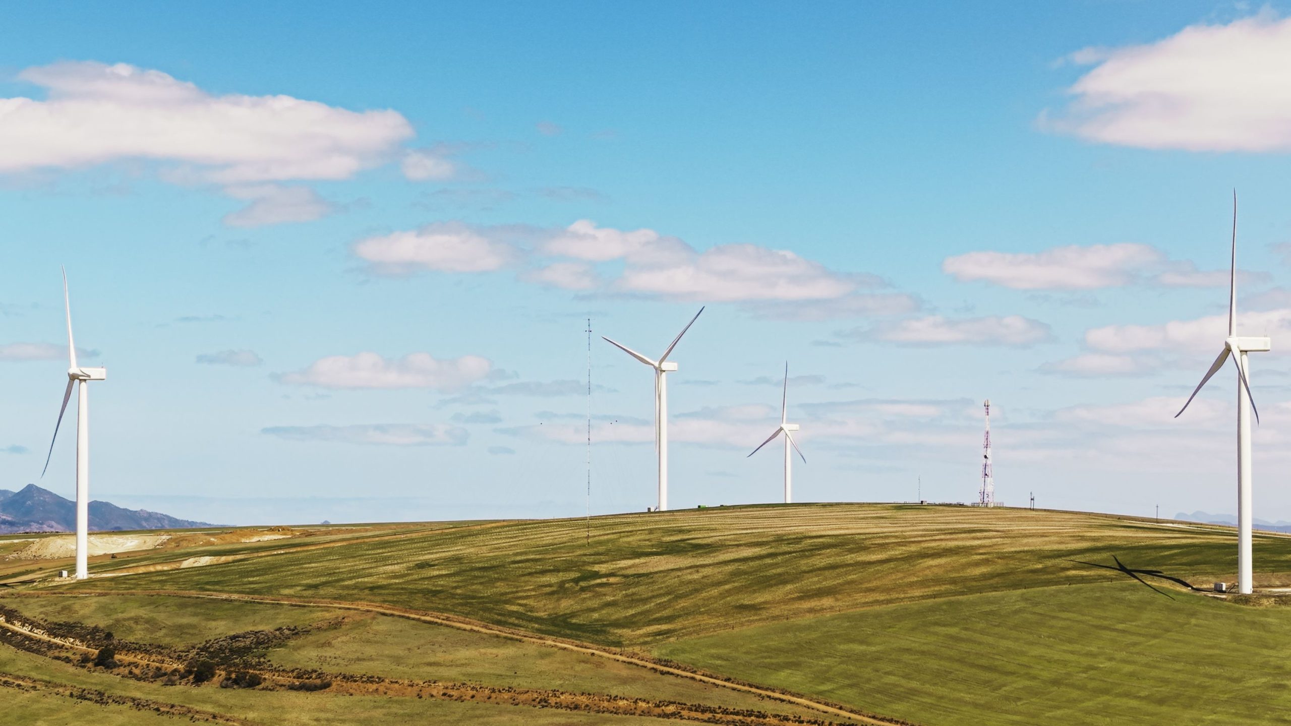 Wind Farm Habitat Management 2