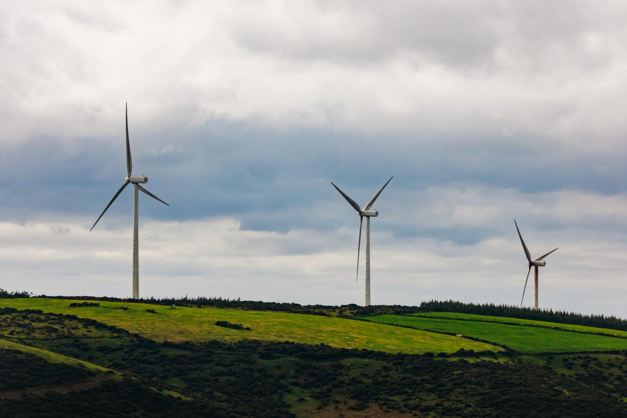 Wind Farm Habitat Management 3