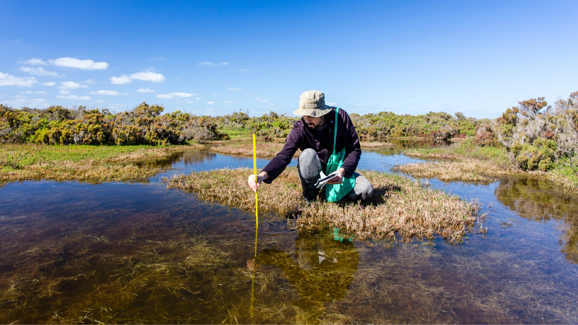 Ecological Clerk of Work (ECoW)