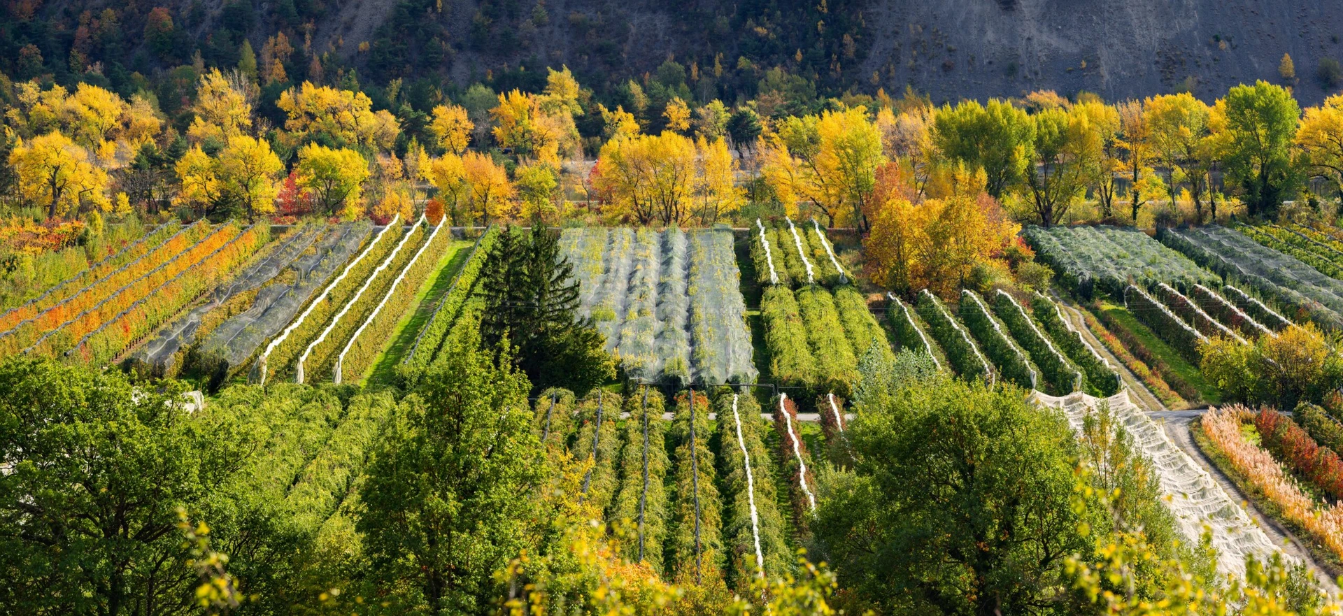 Why Choose Arthian for Construction Environmental Management?