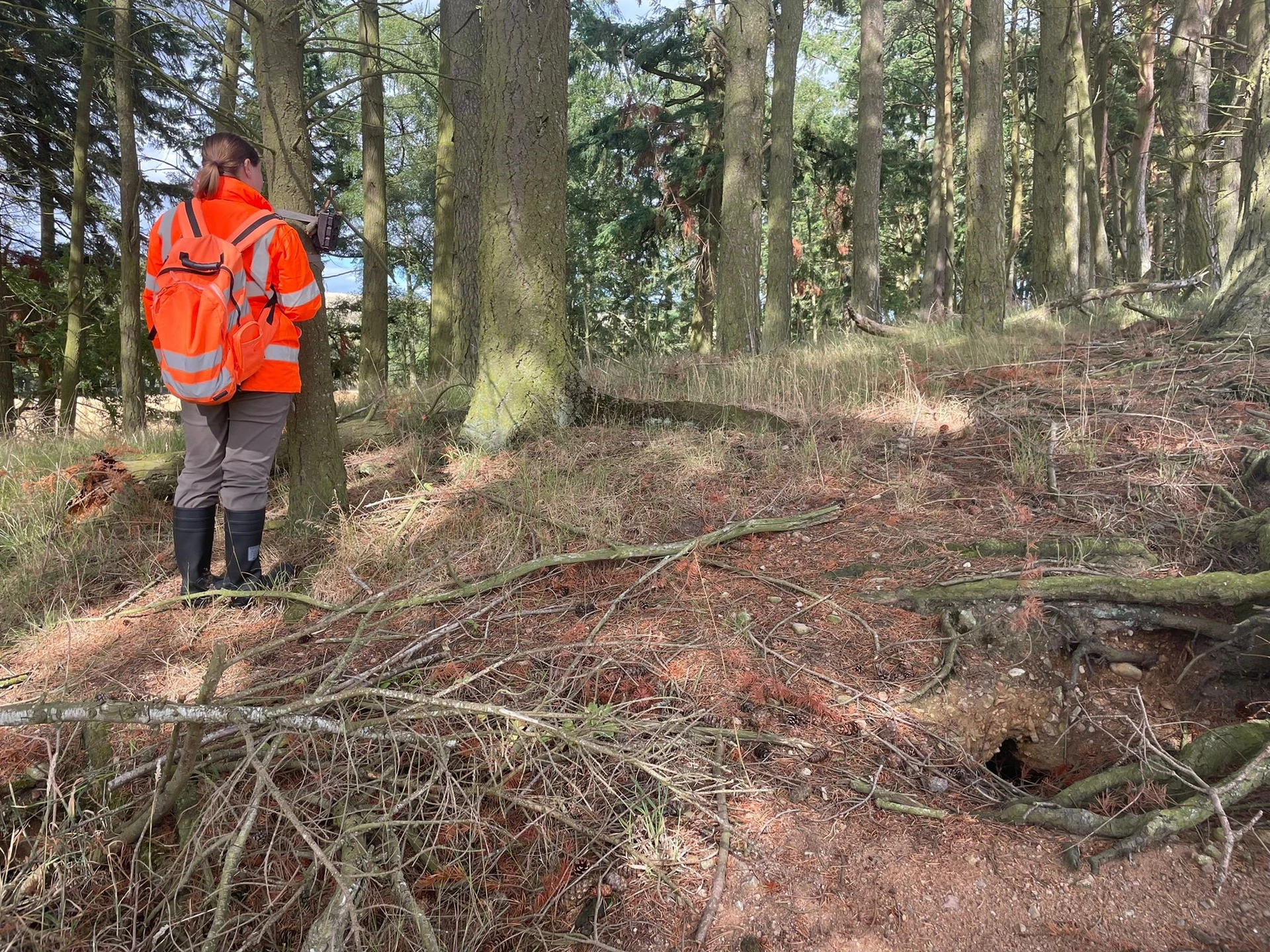 BREEAM Ecology Assessments