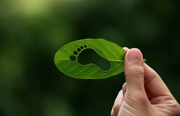 Carbon Footprint Calculation