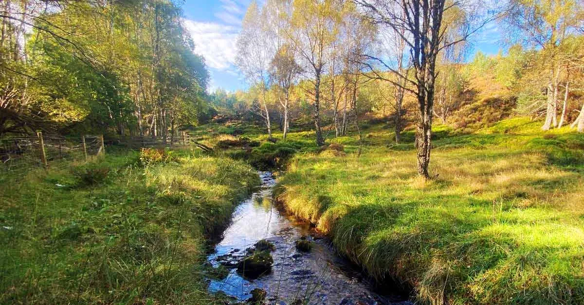 Ecology & Biodiversity